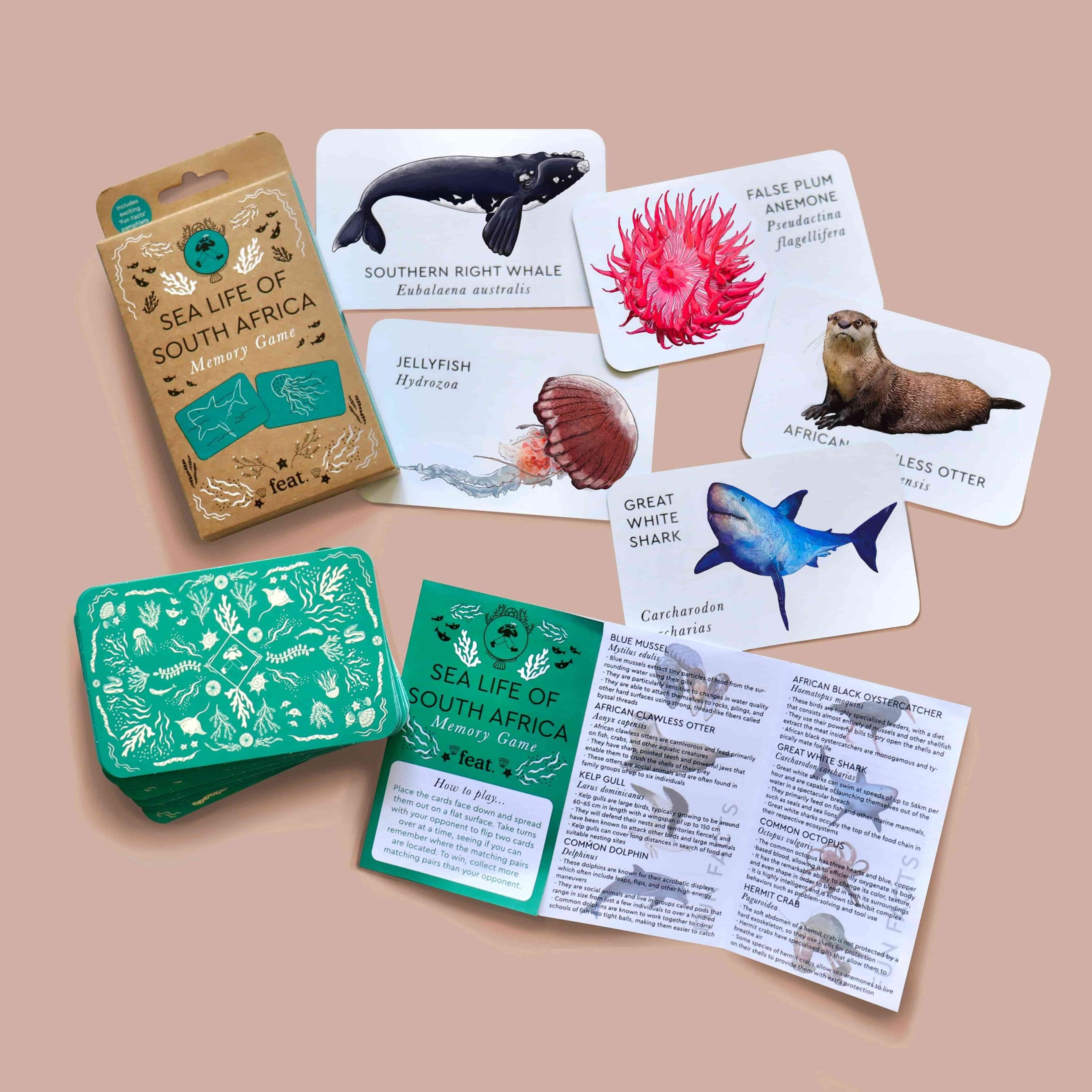 Feat - Sea life of South Africa Memory Game