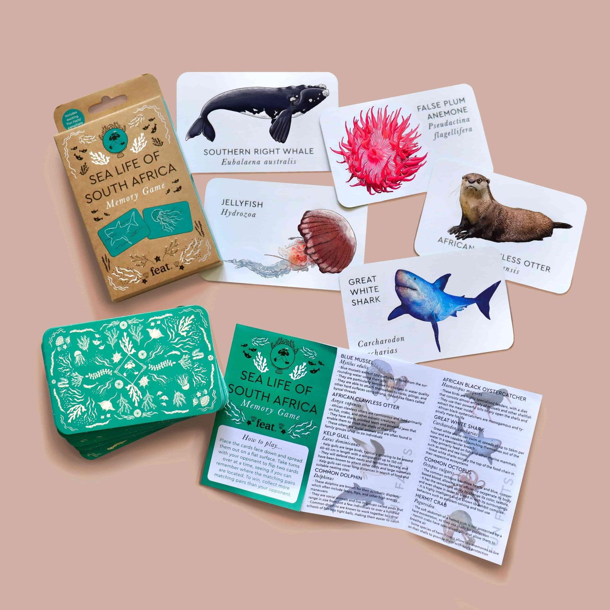 Feat - Sea life of South Africa Memory Game