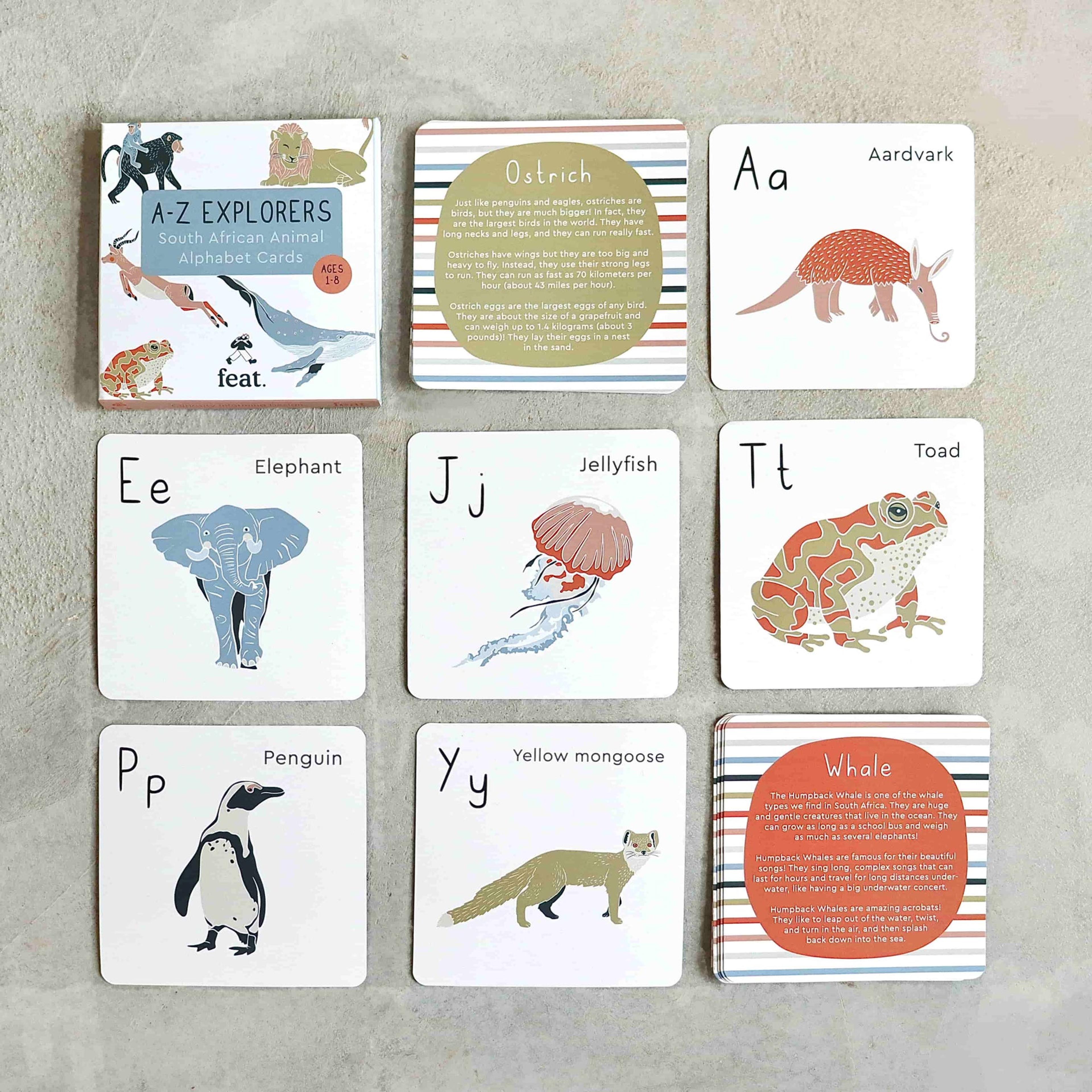 A-Z Explorers South African Animal Alphabet Cards