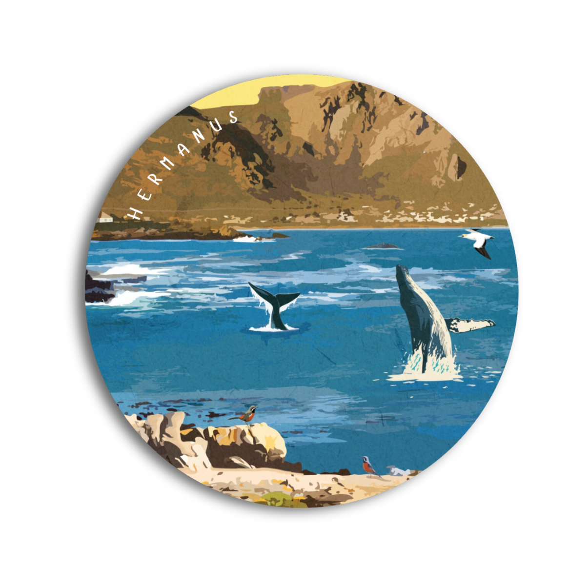 Hermanus Travel Poster — view 3
