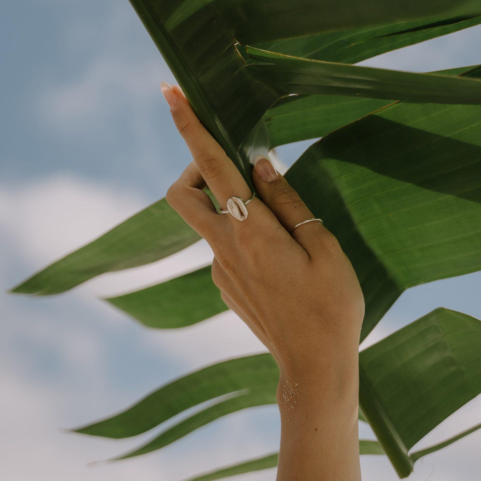Kinkel Jewelry - Cowrie Ring