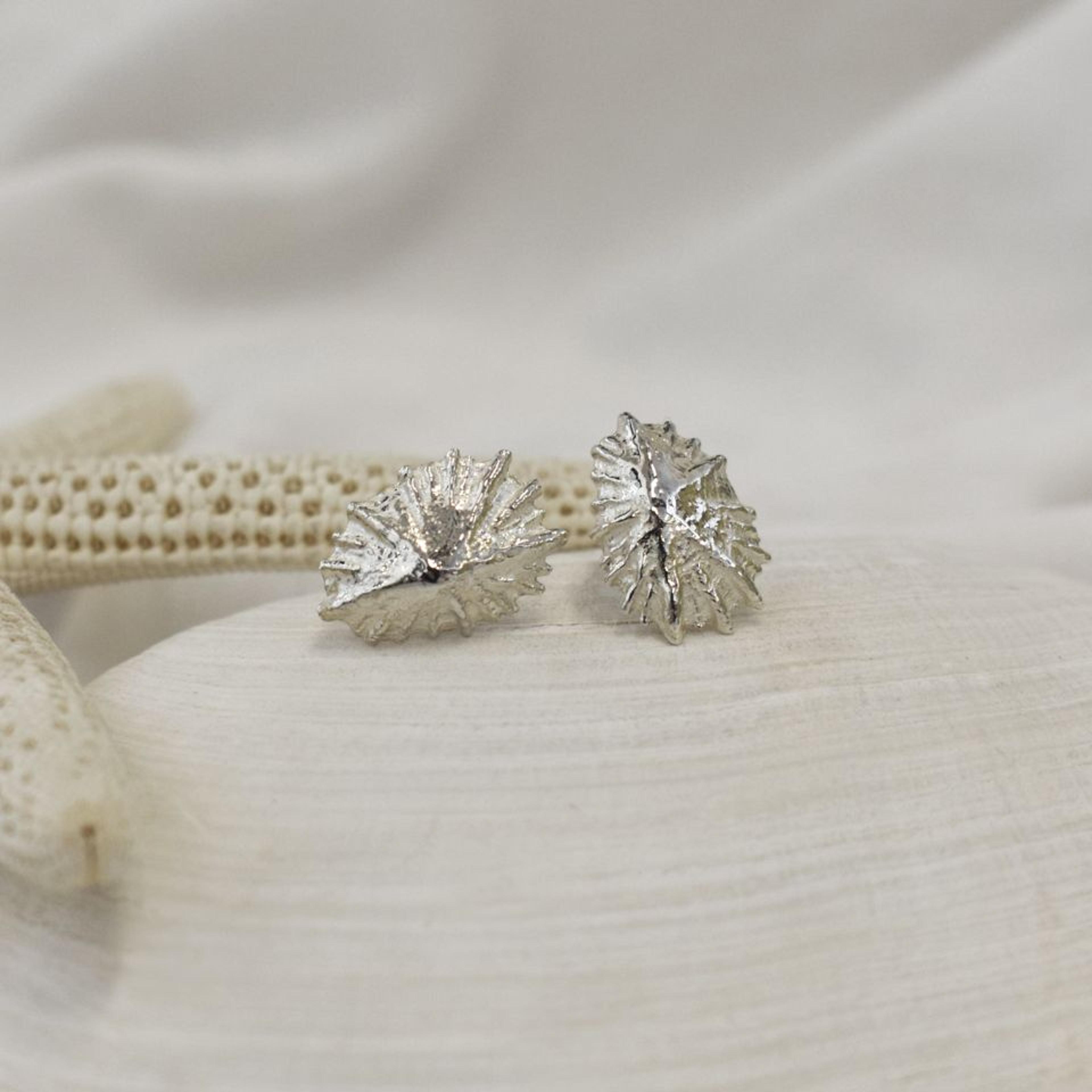Kinkel Jewelry - Limpet Studs