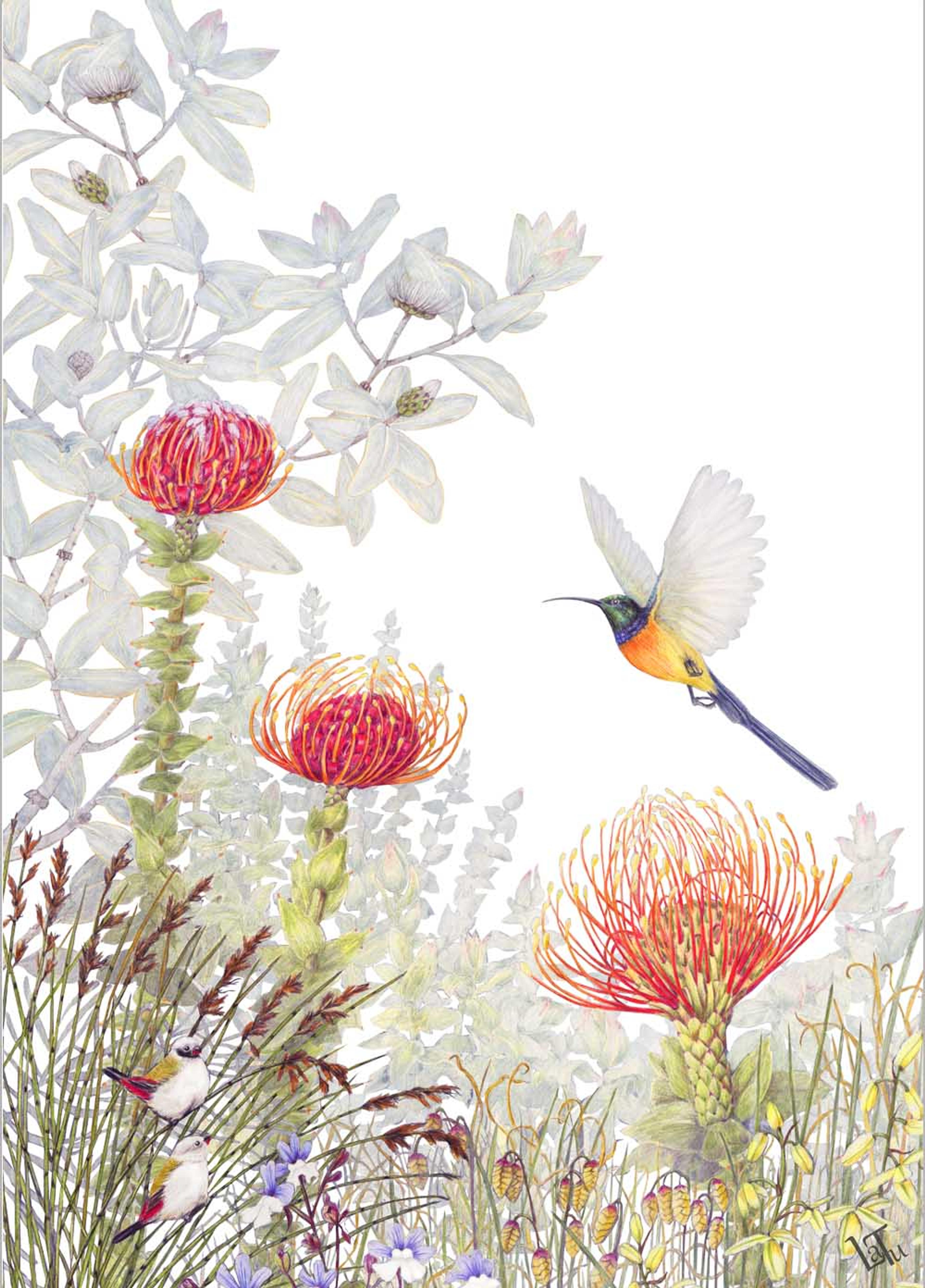 Latu Tea Towels