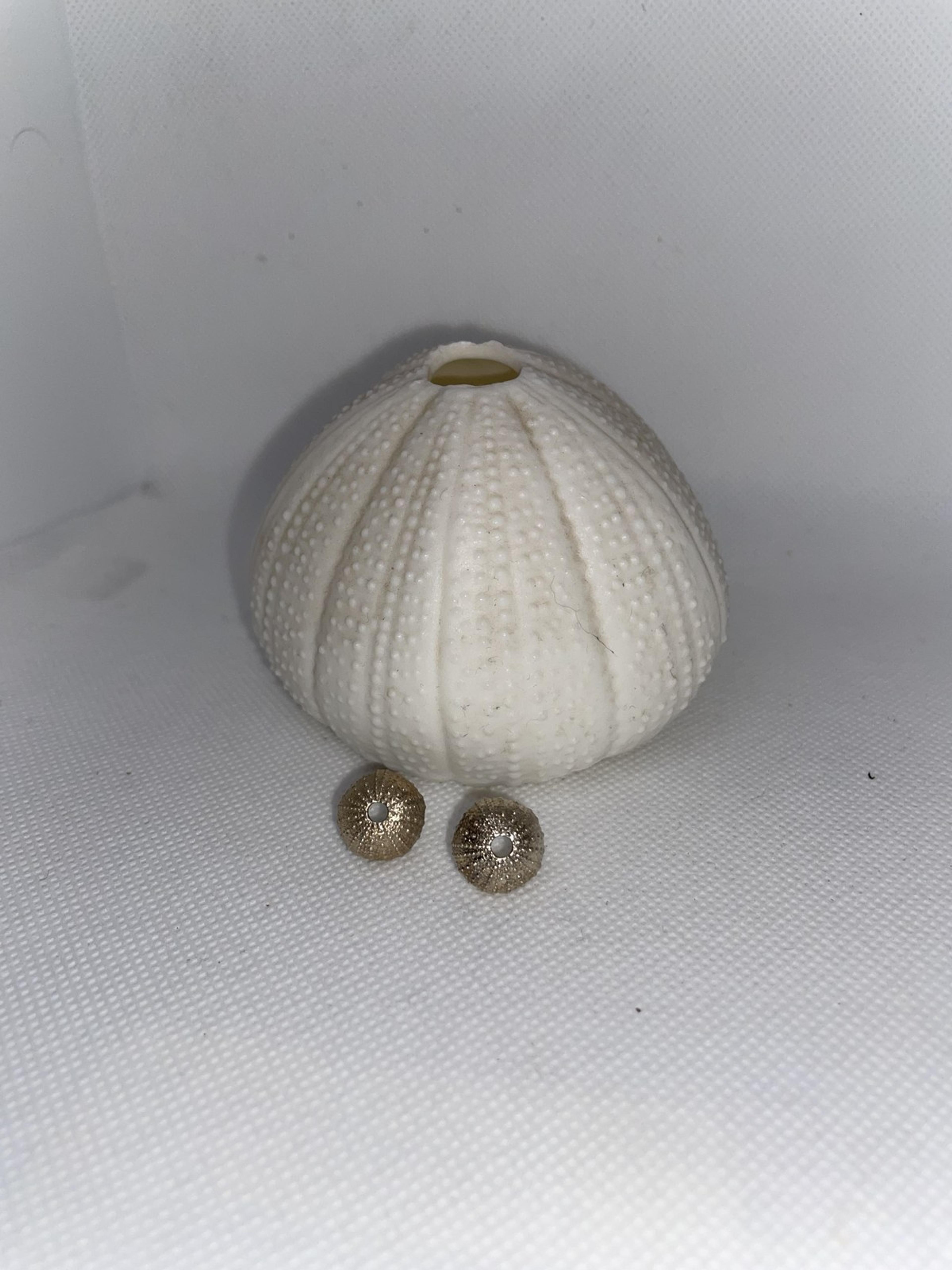 Sea Urchin Textured Stud Earrings