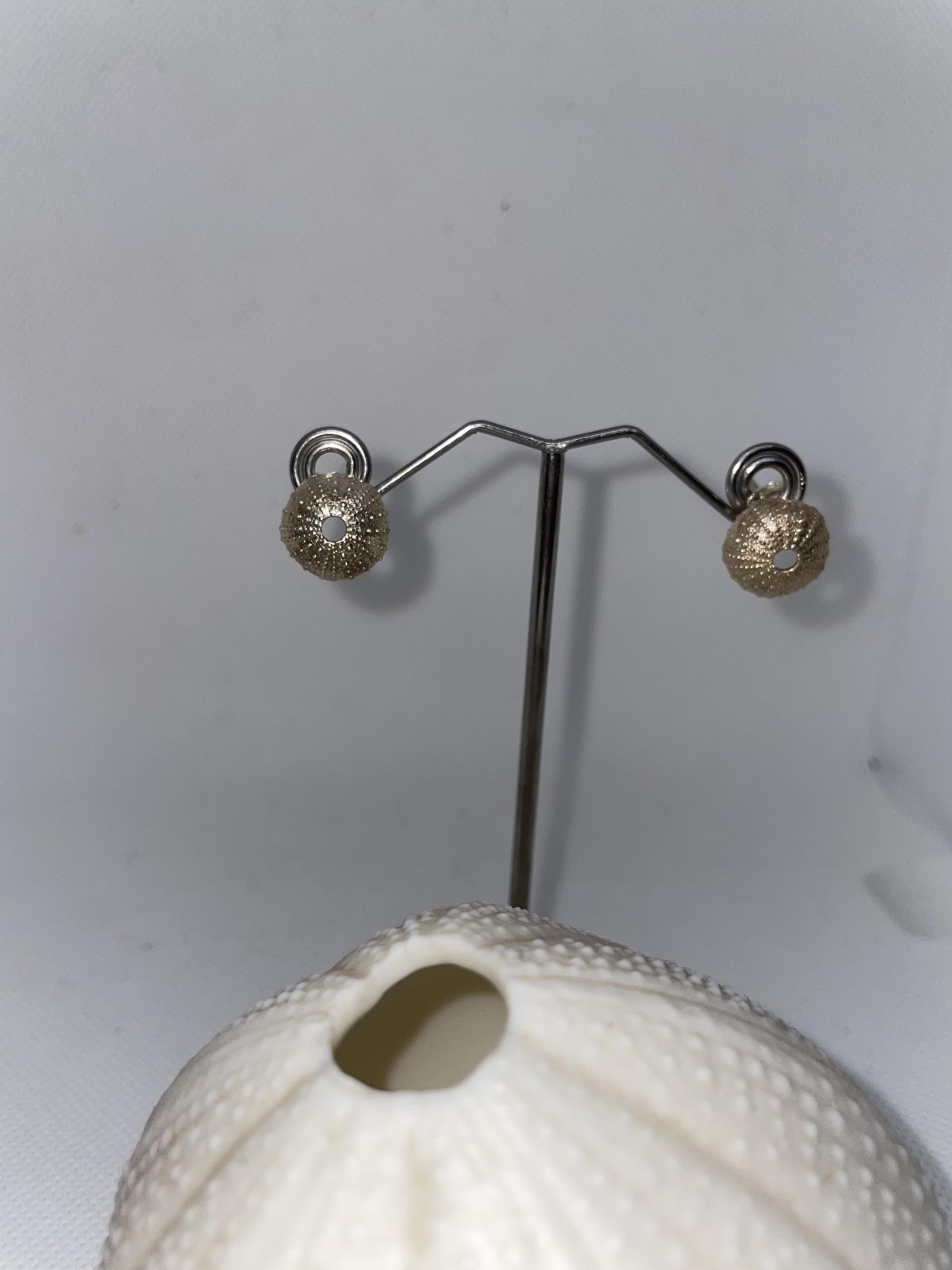Sea Urchin Textured Stud Earrings