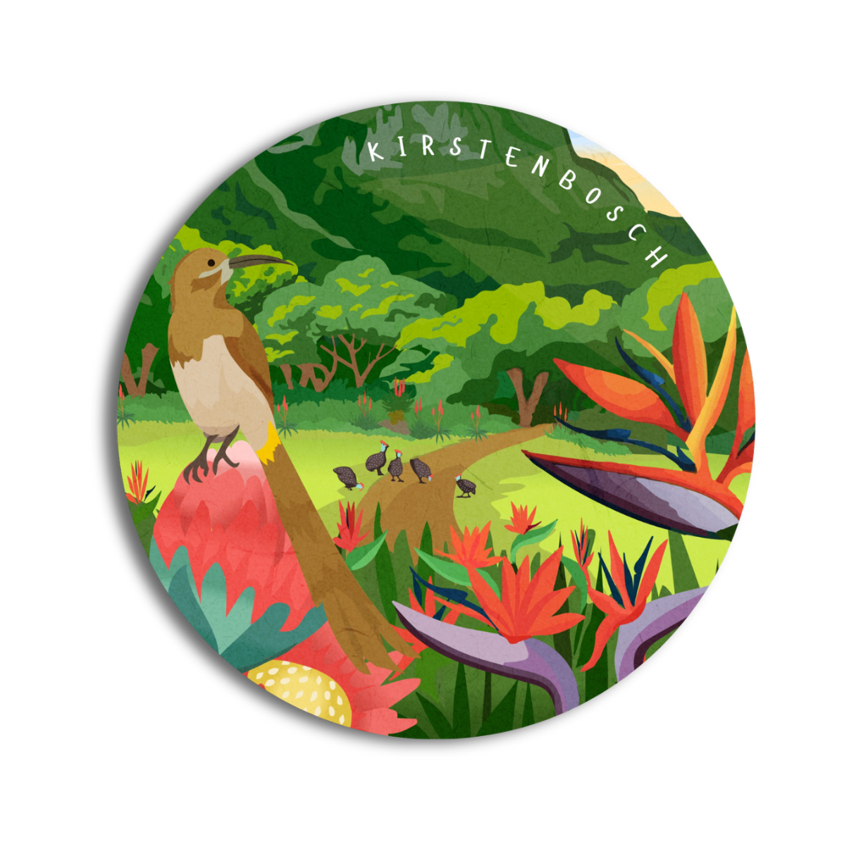 Kirstenbosch Travel Poster — view 3