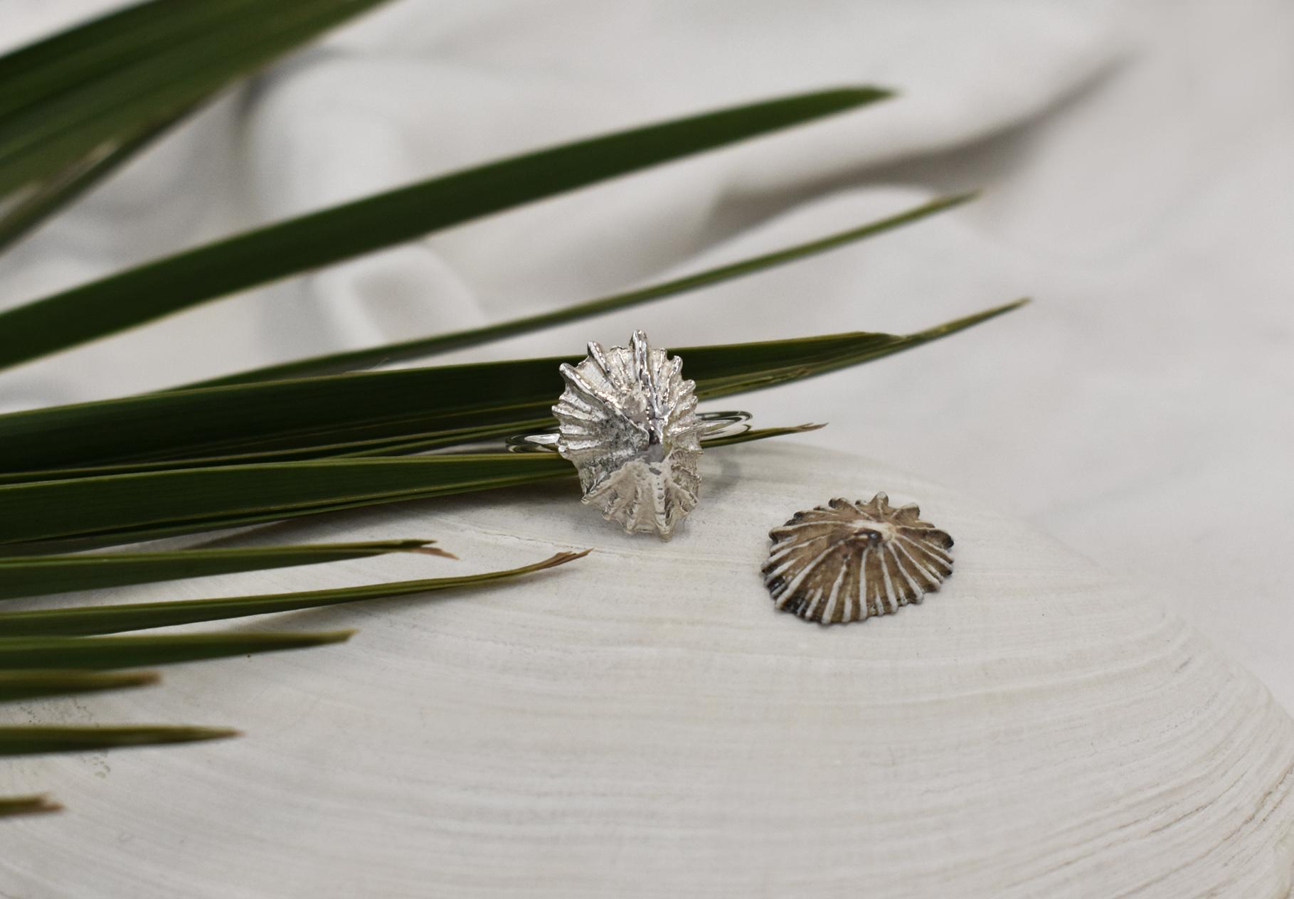 Kinkel Jewelry - Limpet Ring — view 4