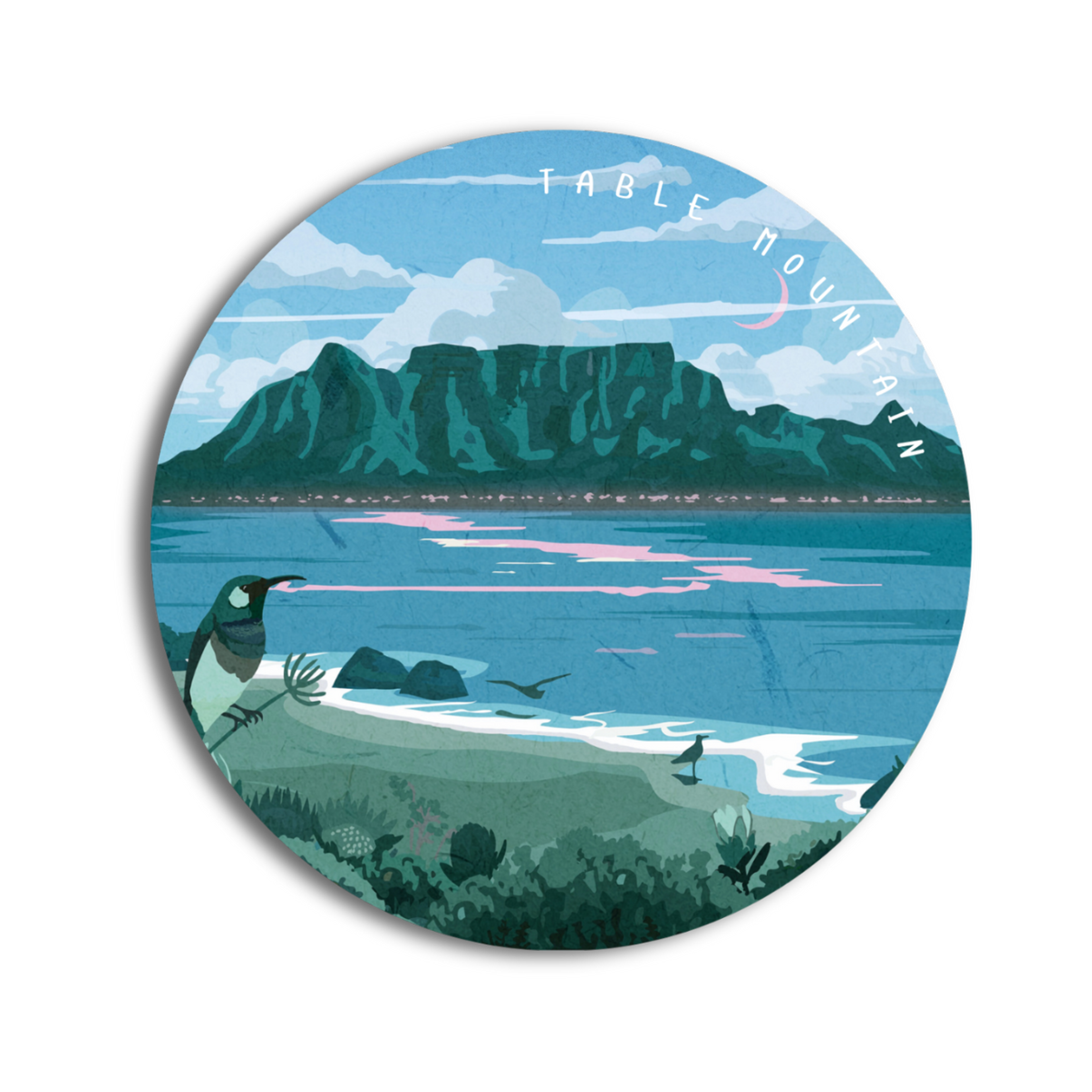 Roam Coasters