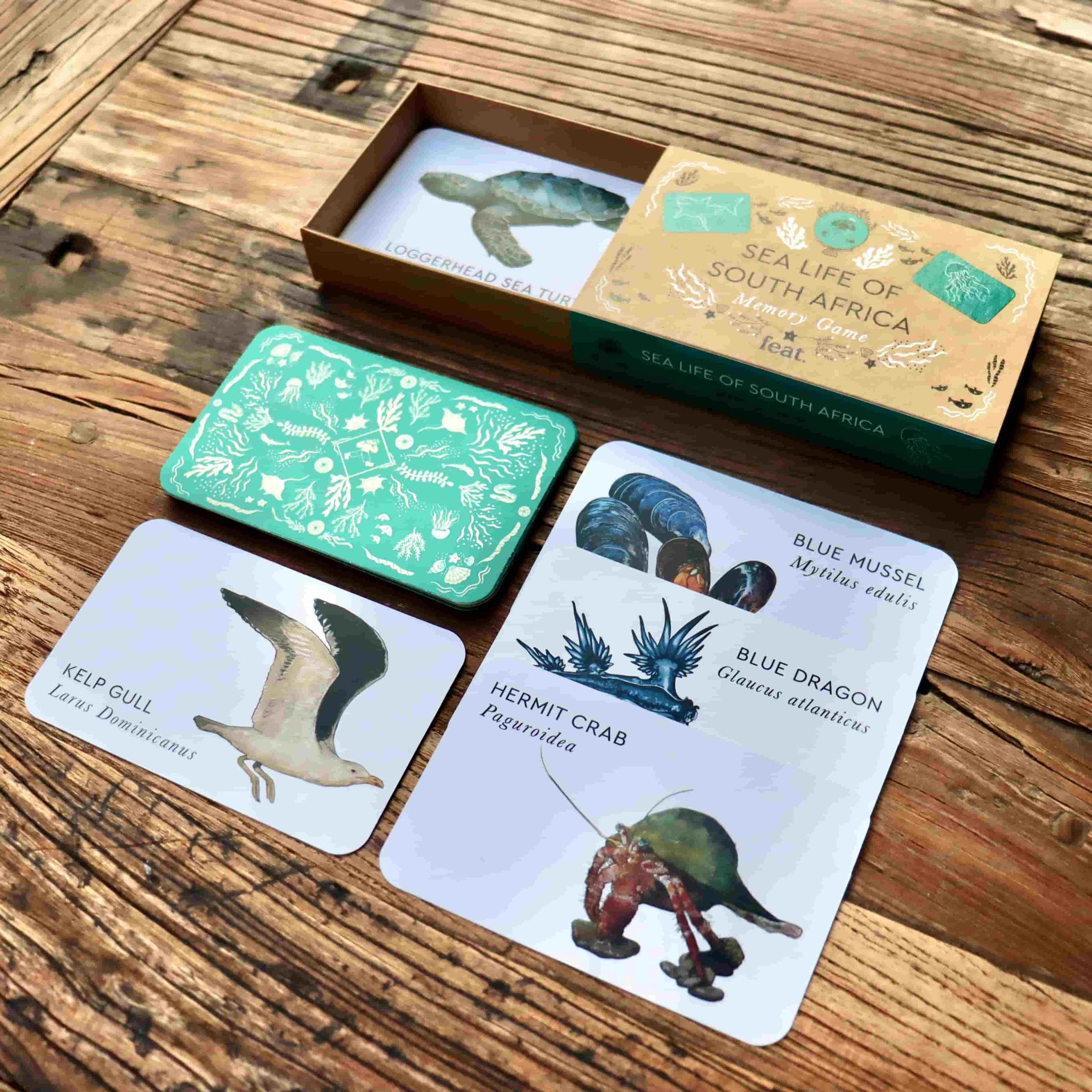 Feat - Sea life of South Africa Memory Game