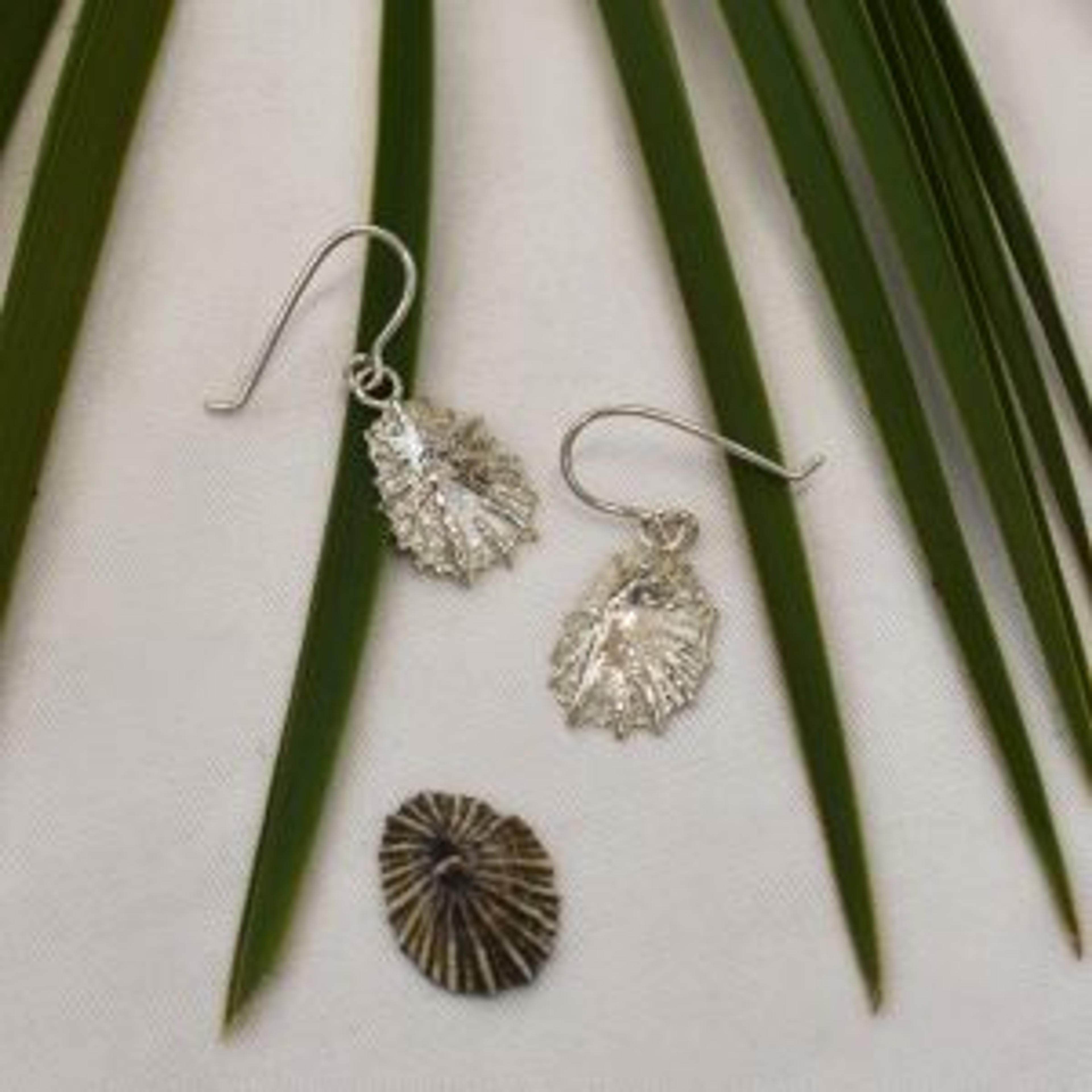 Kinkel Jewelry - Limpet Earrings