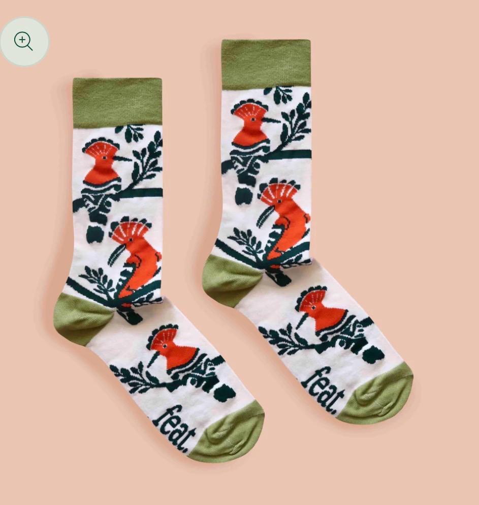 Men’s Hoopoe Bird socks — Feat