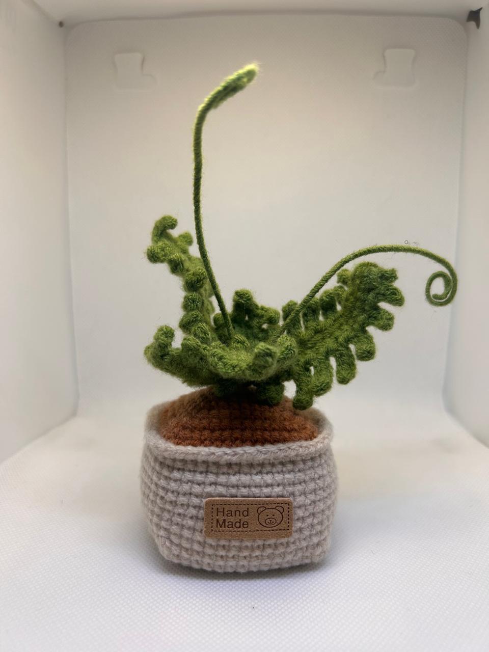 Crochet Fern Planter