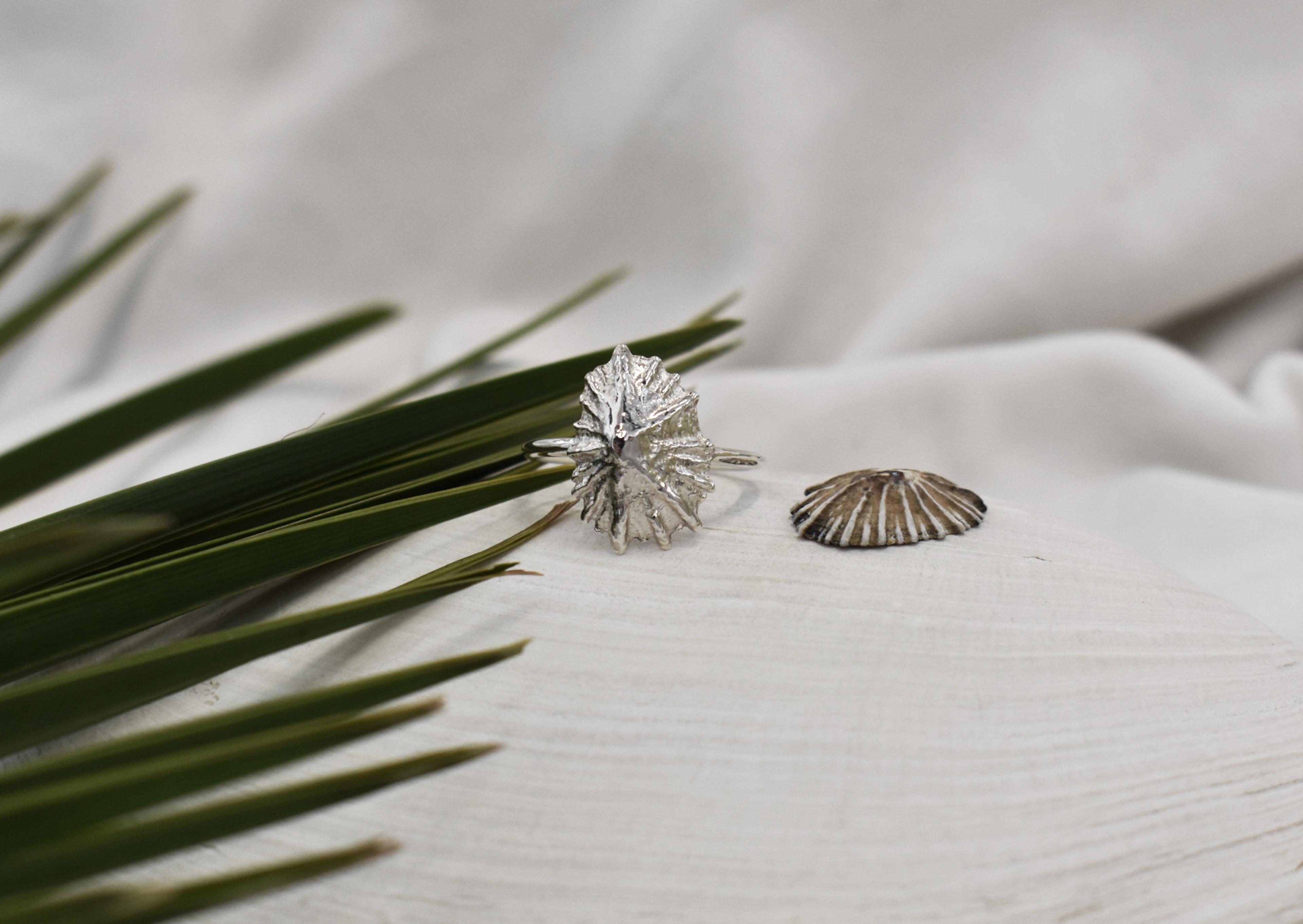 Kinkel Jewelry - Limpet Ring — view 6