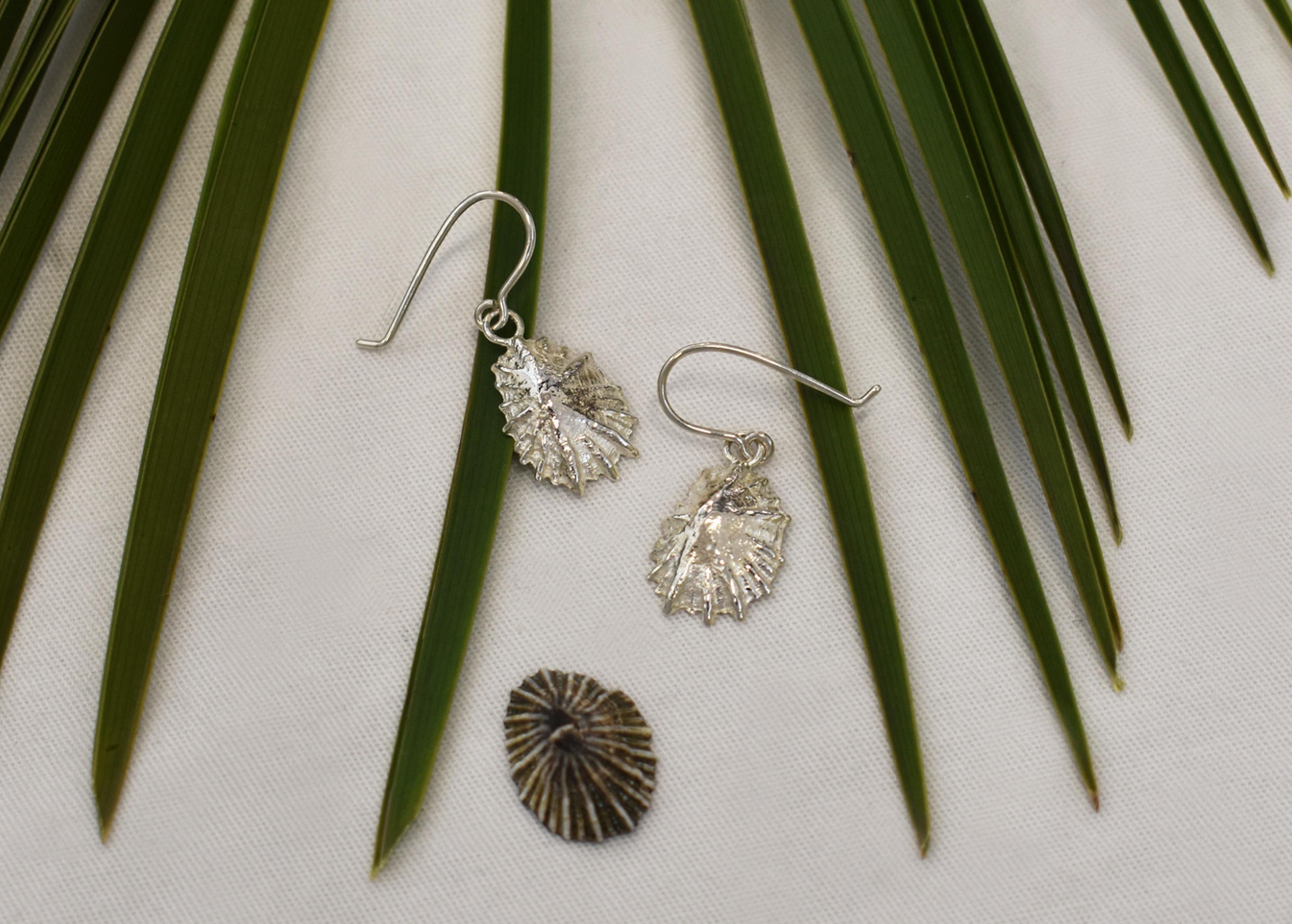 Kinkel Jewelry - Limpet Earrings — view 6