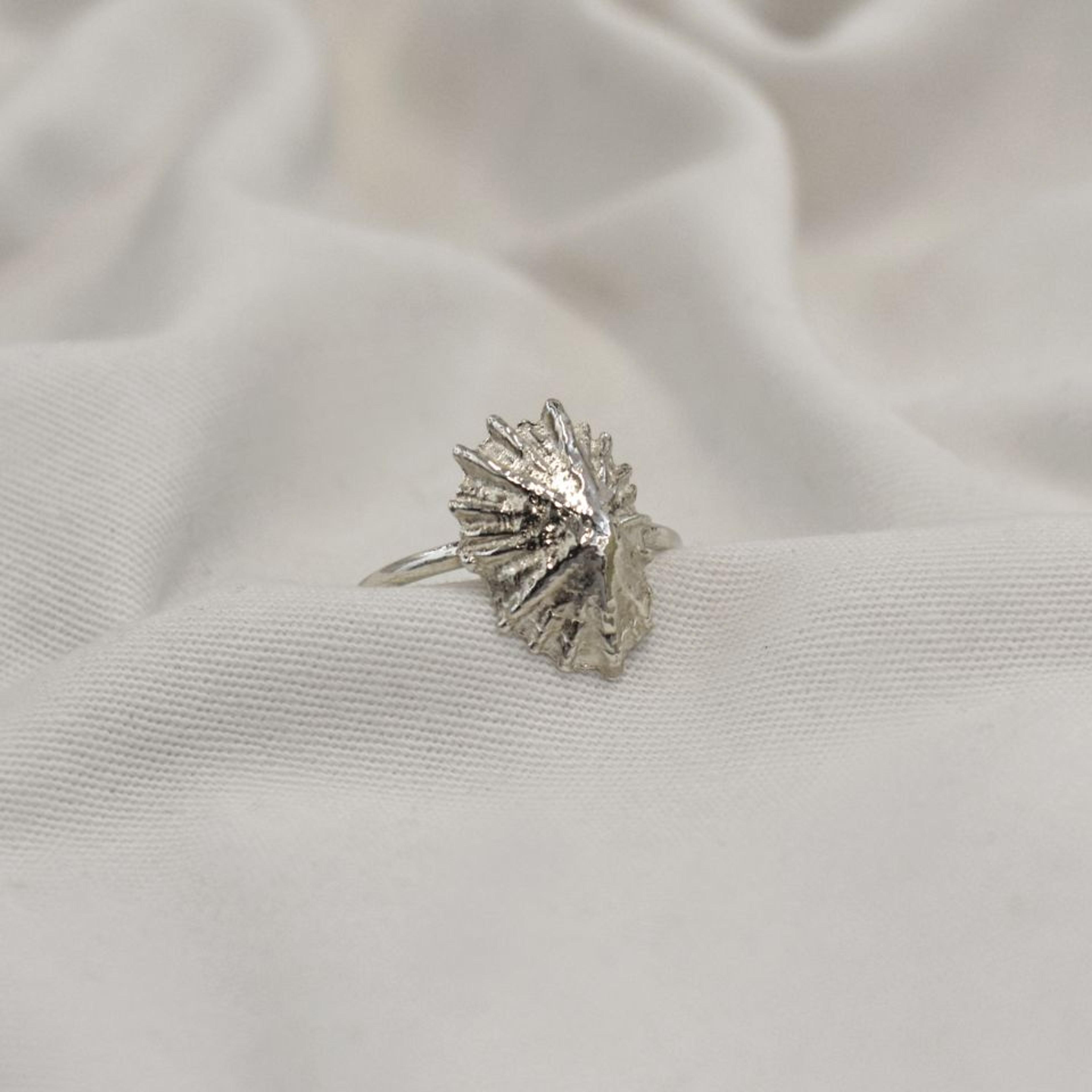 Kinkel Jewelry - Limpet Ring