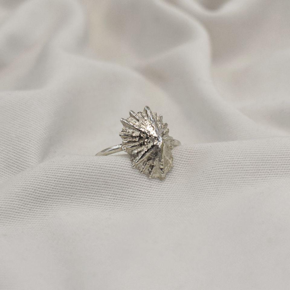 Kinkel Jewelry - Limpet Ring