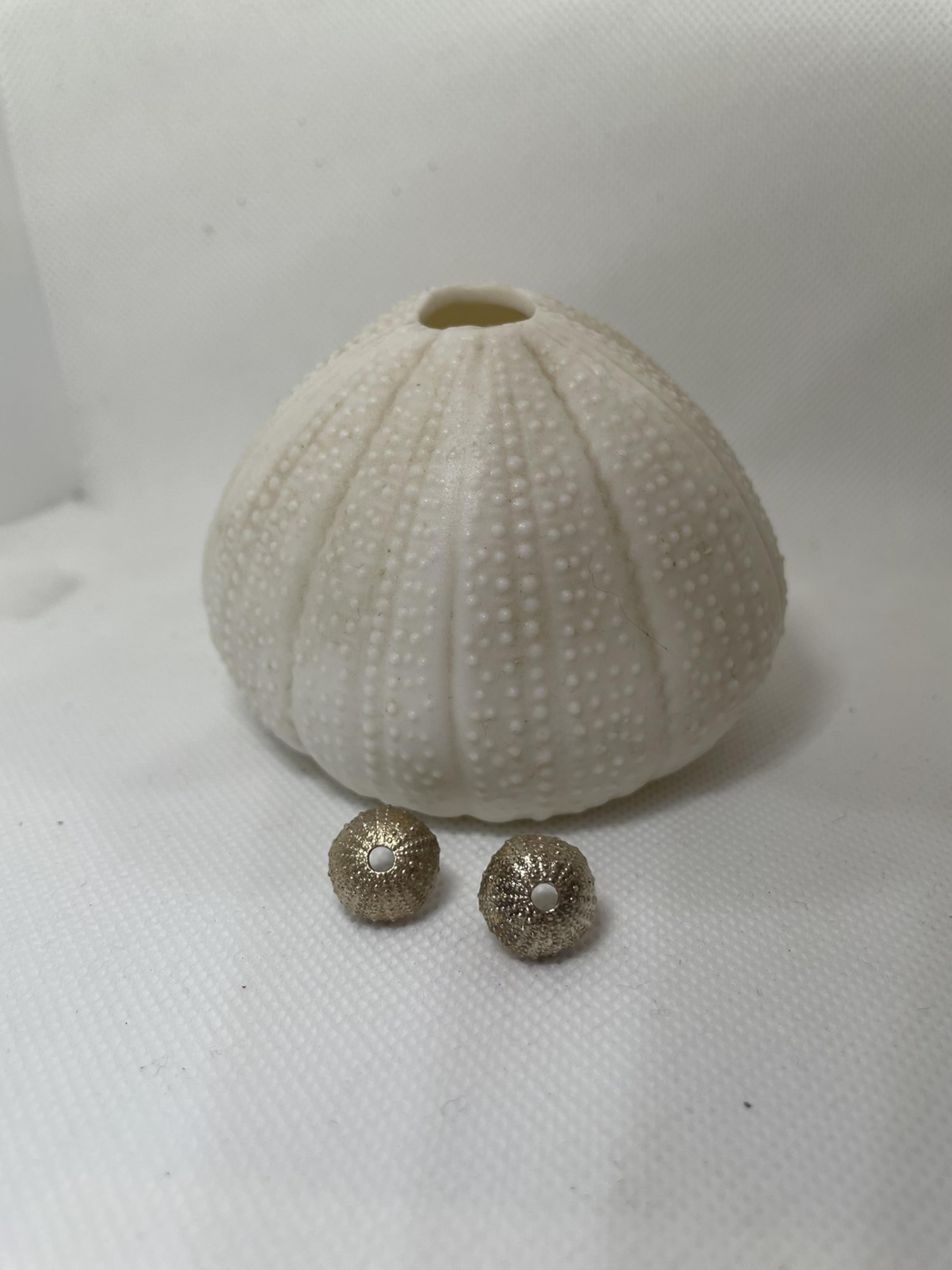 Sea Urchin Textured Stud Earrings