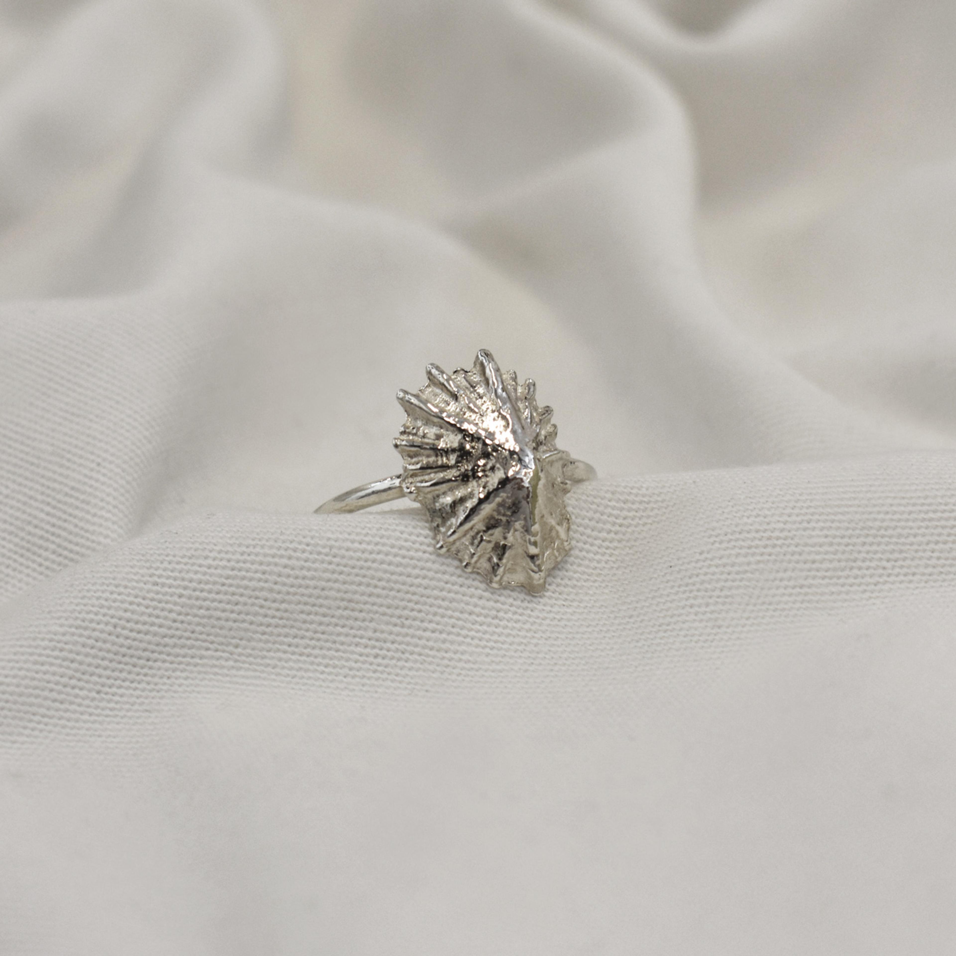 Limpet Ring