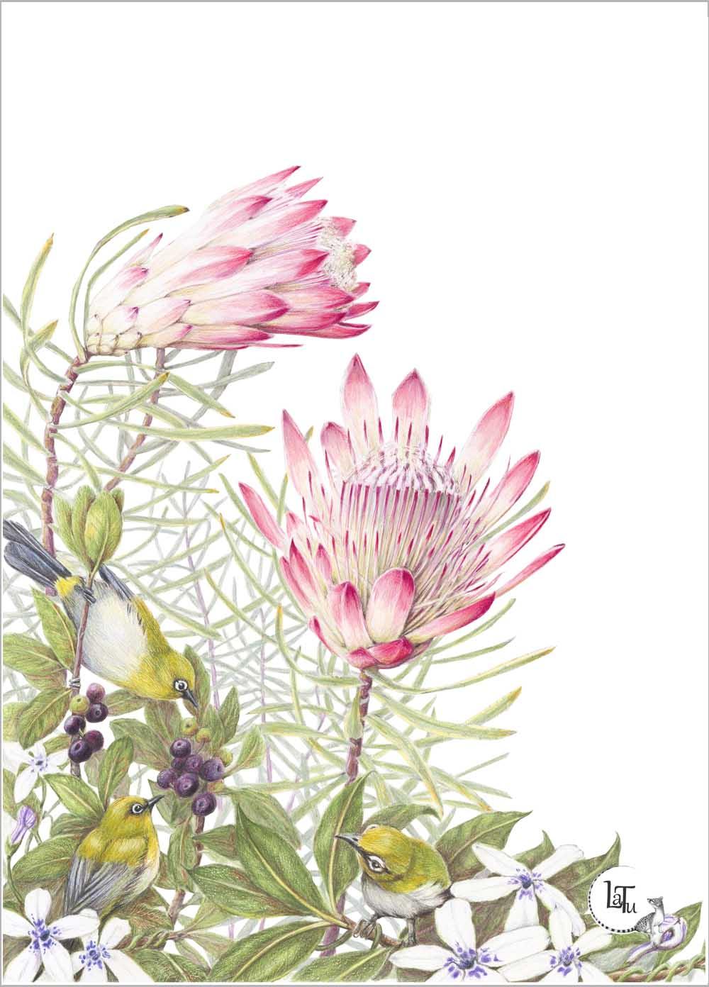 Latu Tea Towels