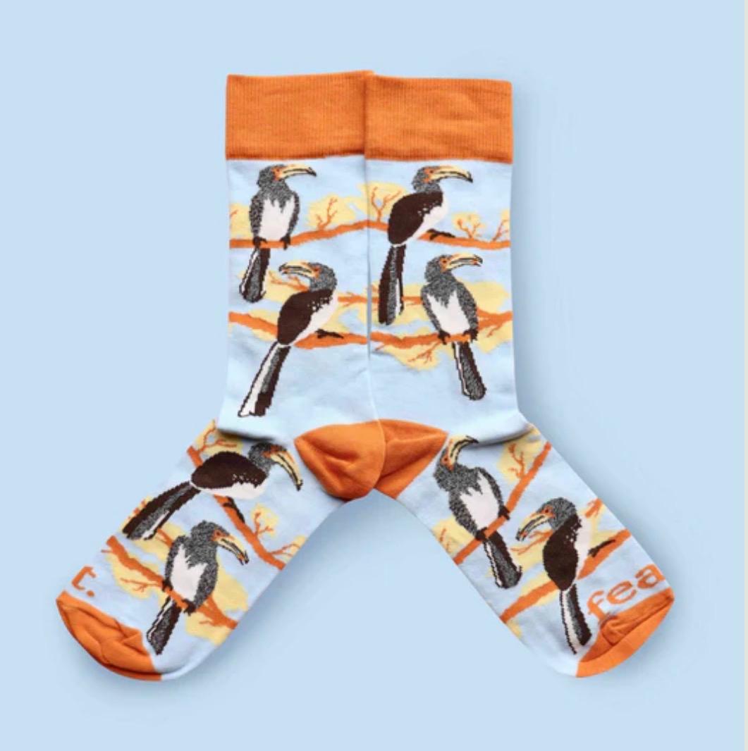 Feat Adult Sock — Southern Yellow-Billed Hornbill