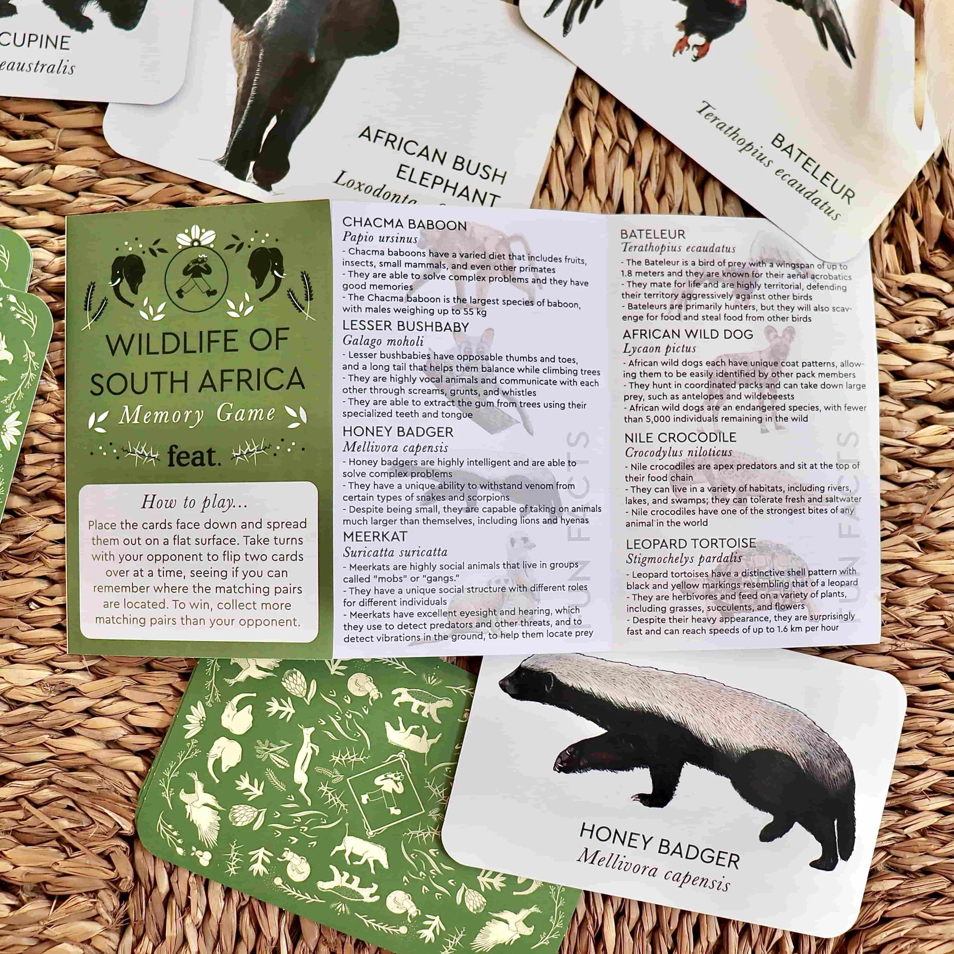 Feat - Wildlife of South Africa Memory Game