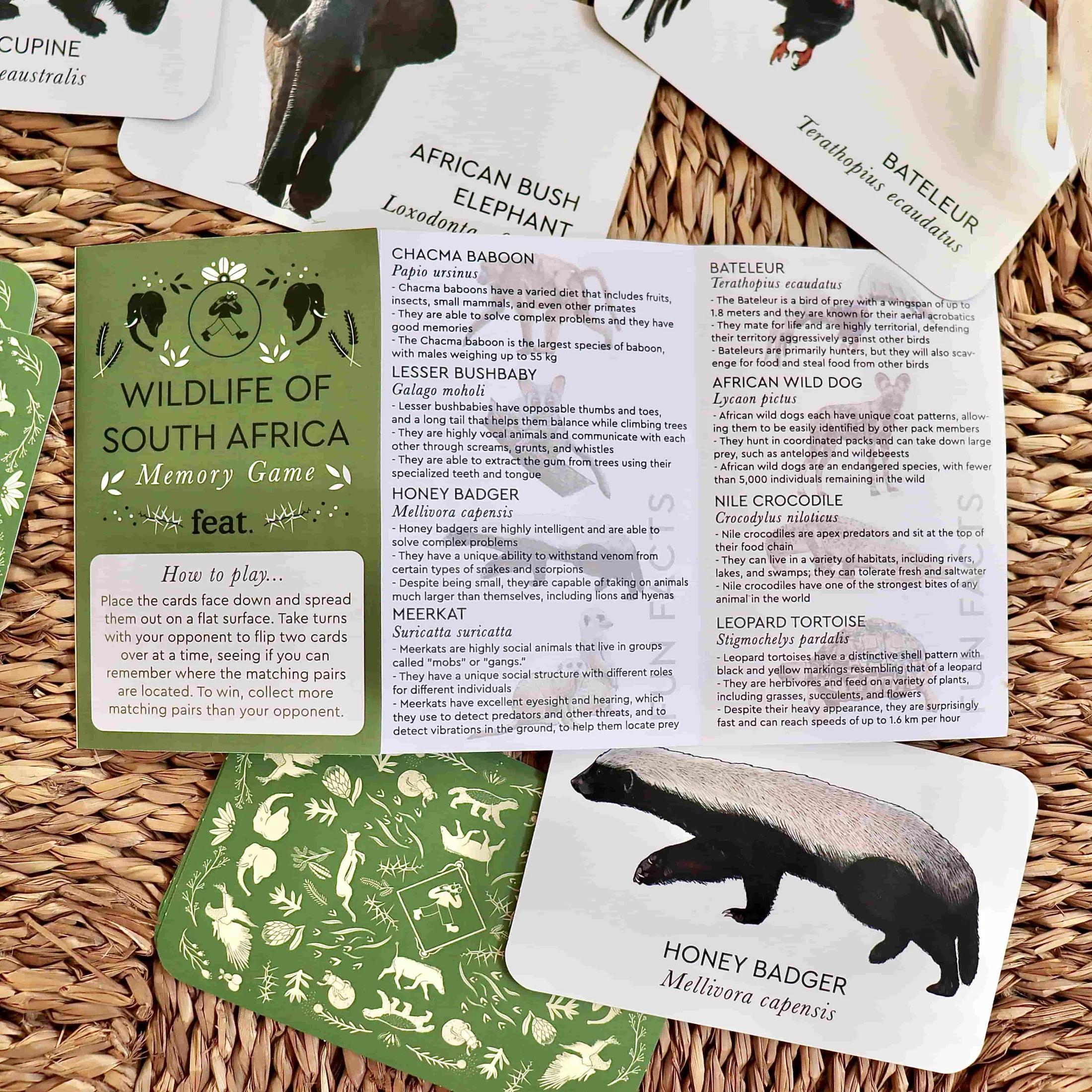 Feat - Wildlife of South Africa Memory Game