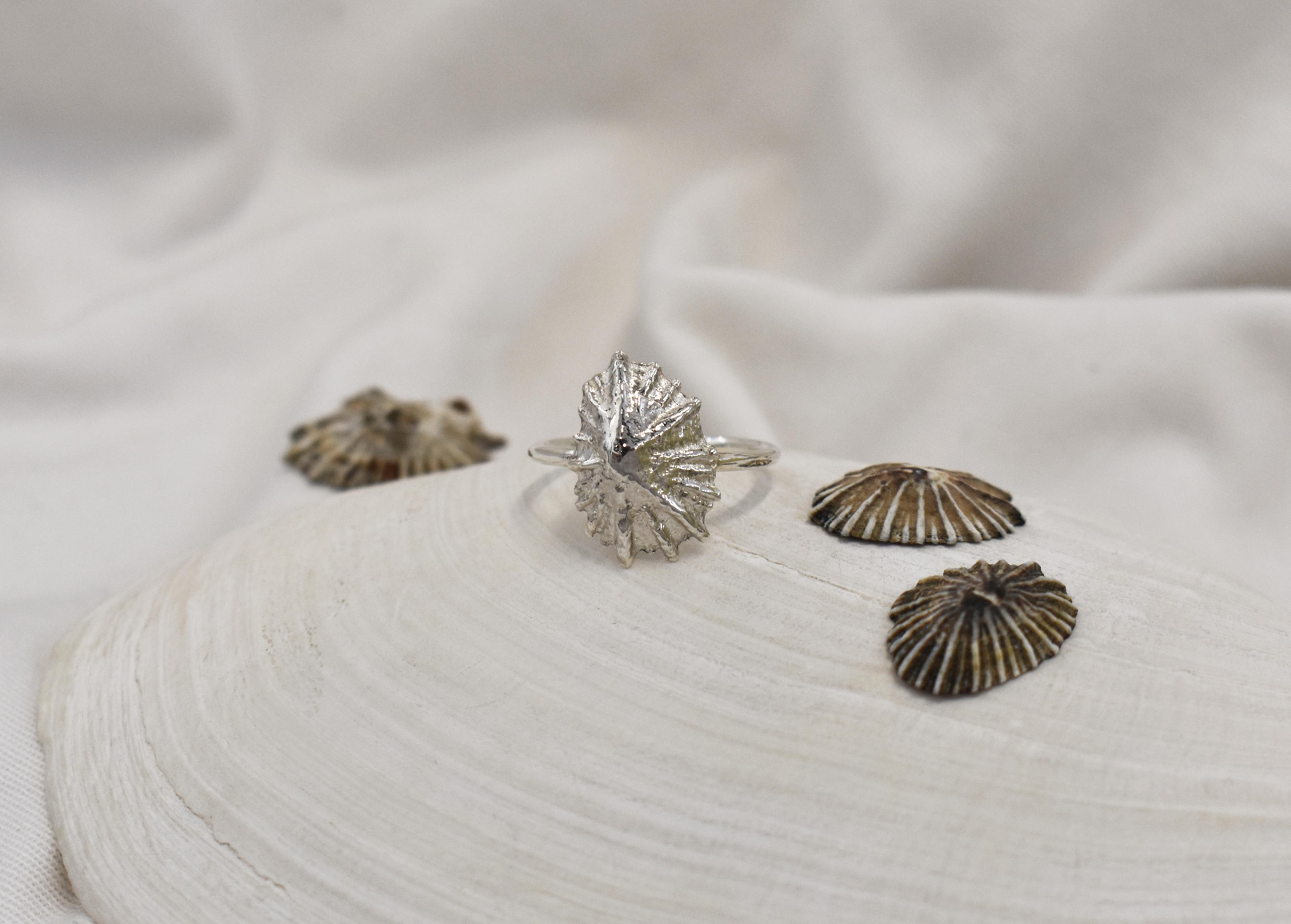 Kinkel Jewelry - Limpet Ring — view 3