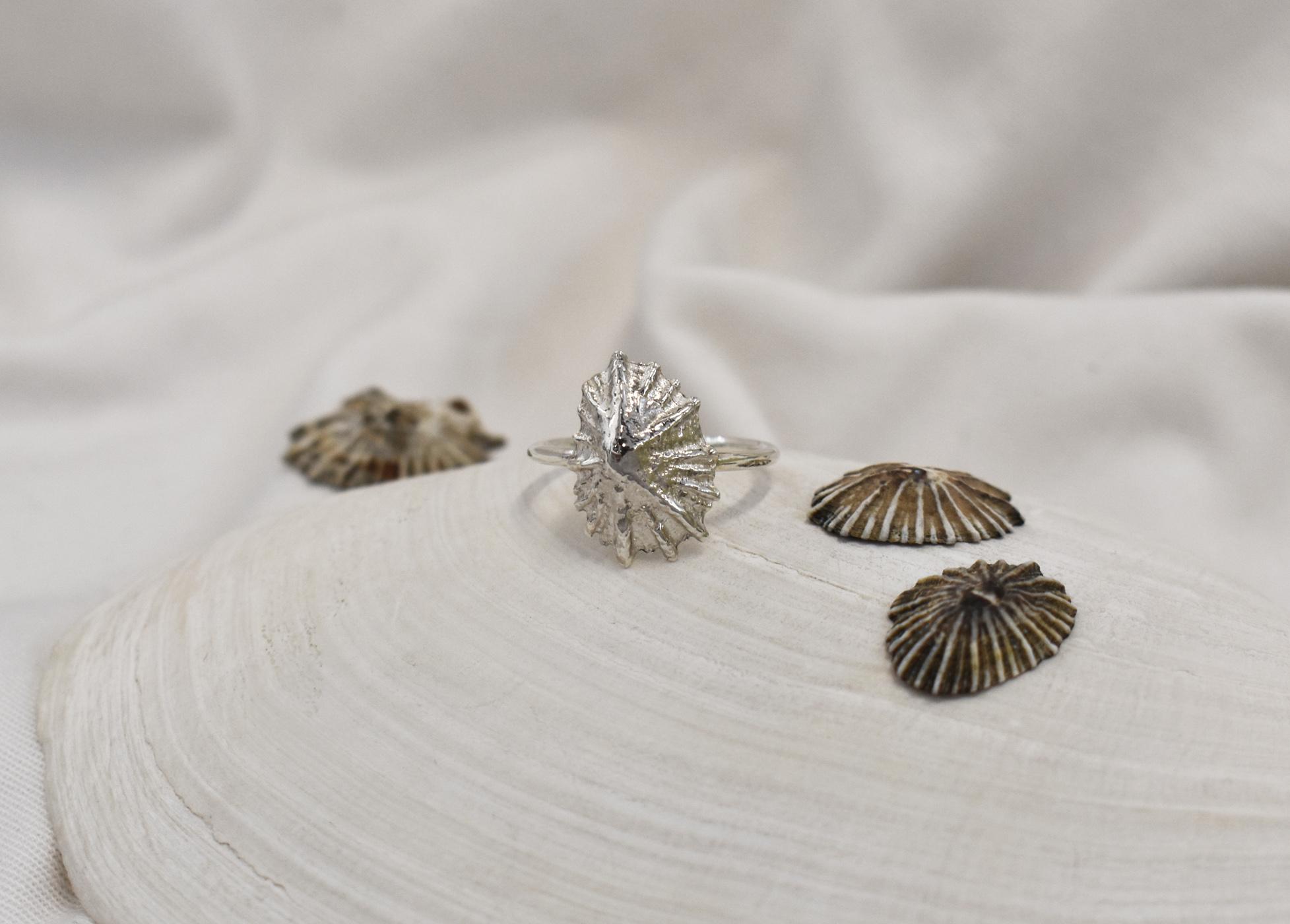Kinkel Jewelry - Limpet Ring — view 3