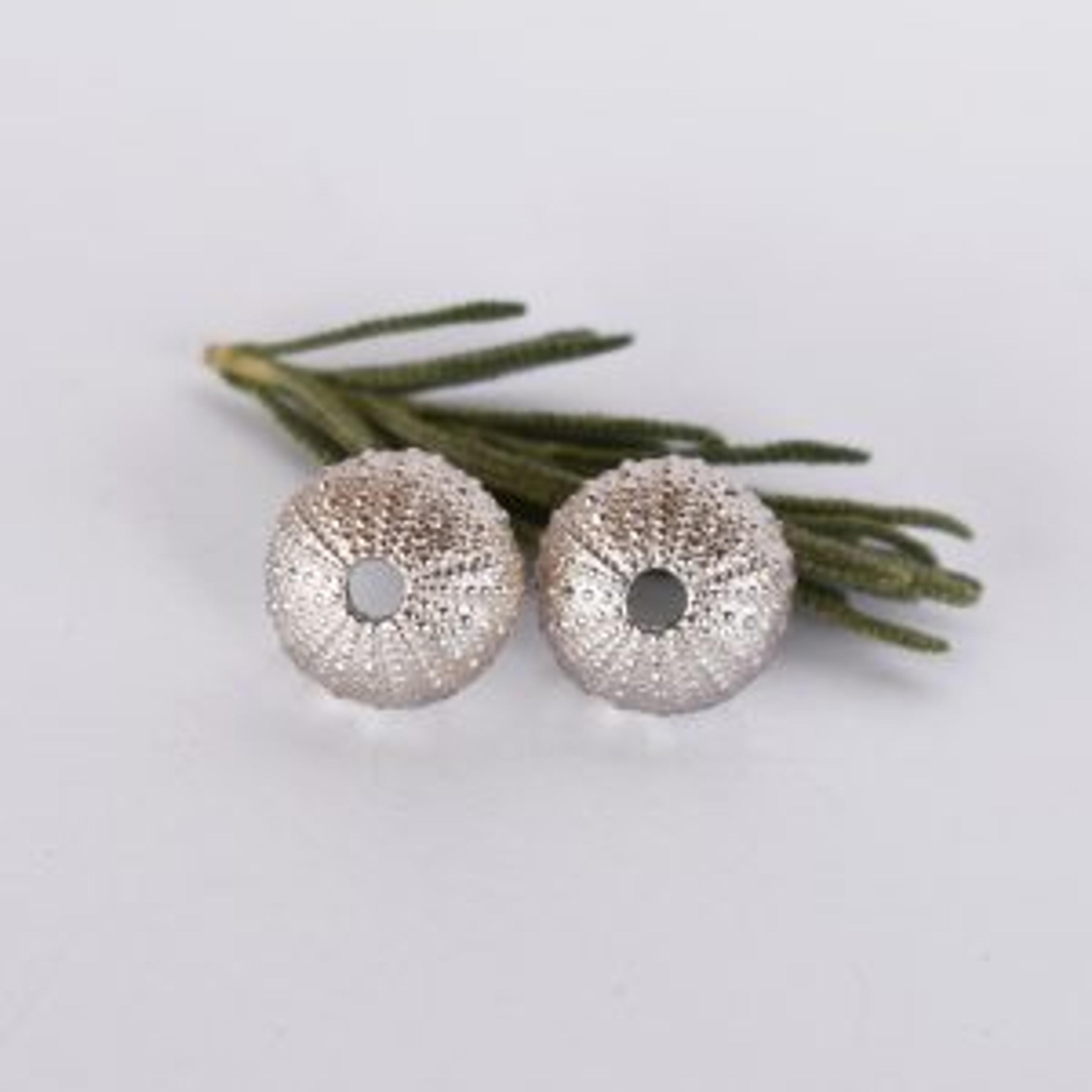 Kinkel Jewelry - Classic Sea Urchin Stud 