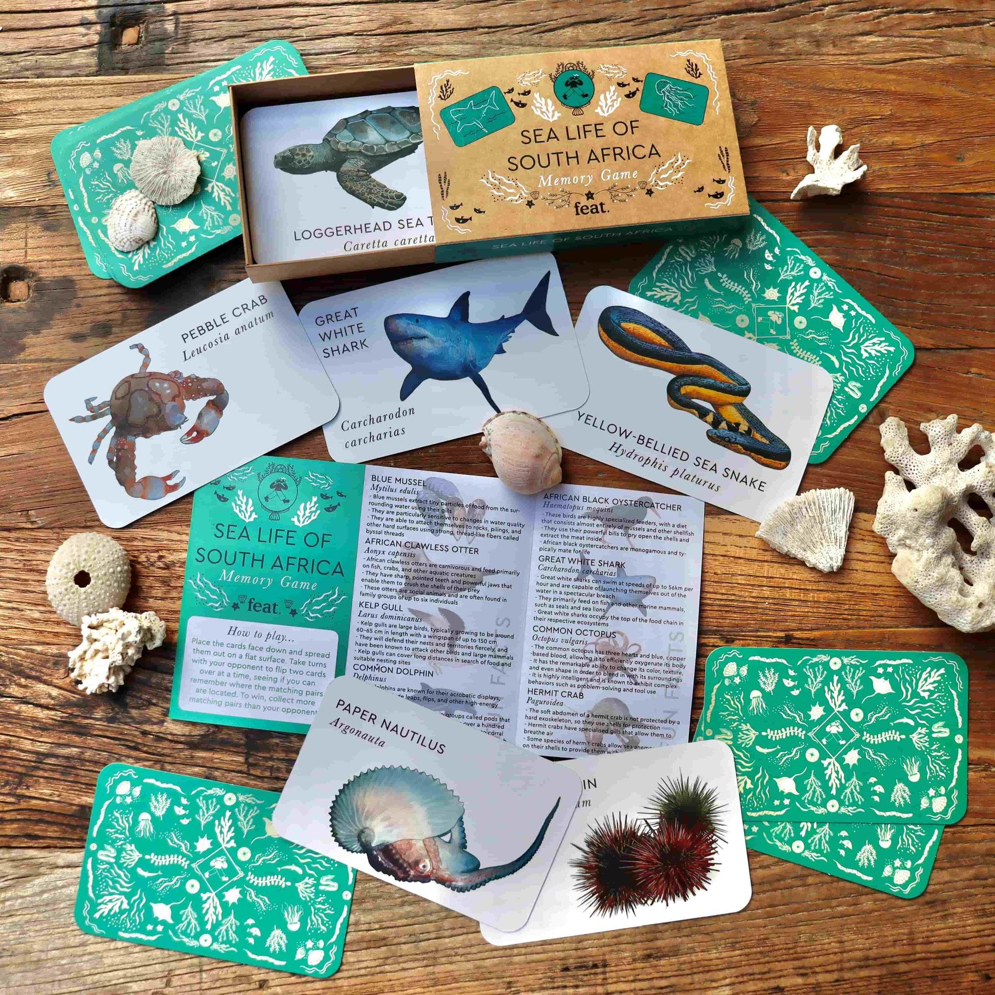 Feat - Sea life of South Africa Memory Game