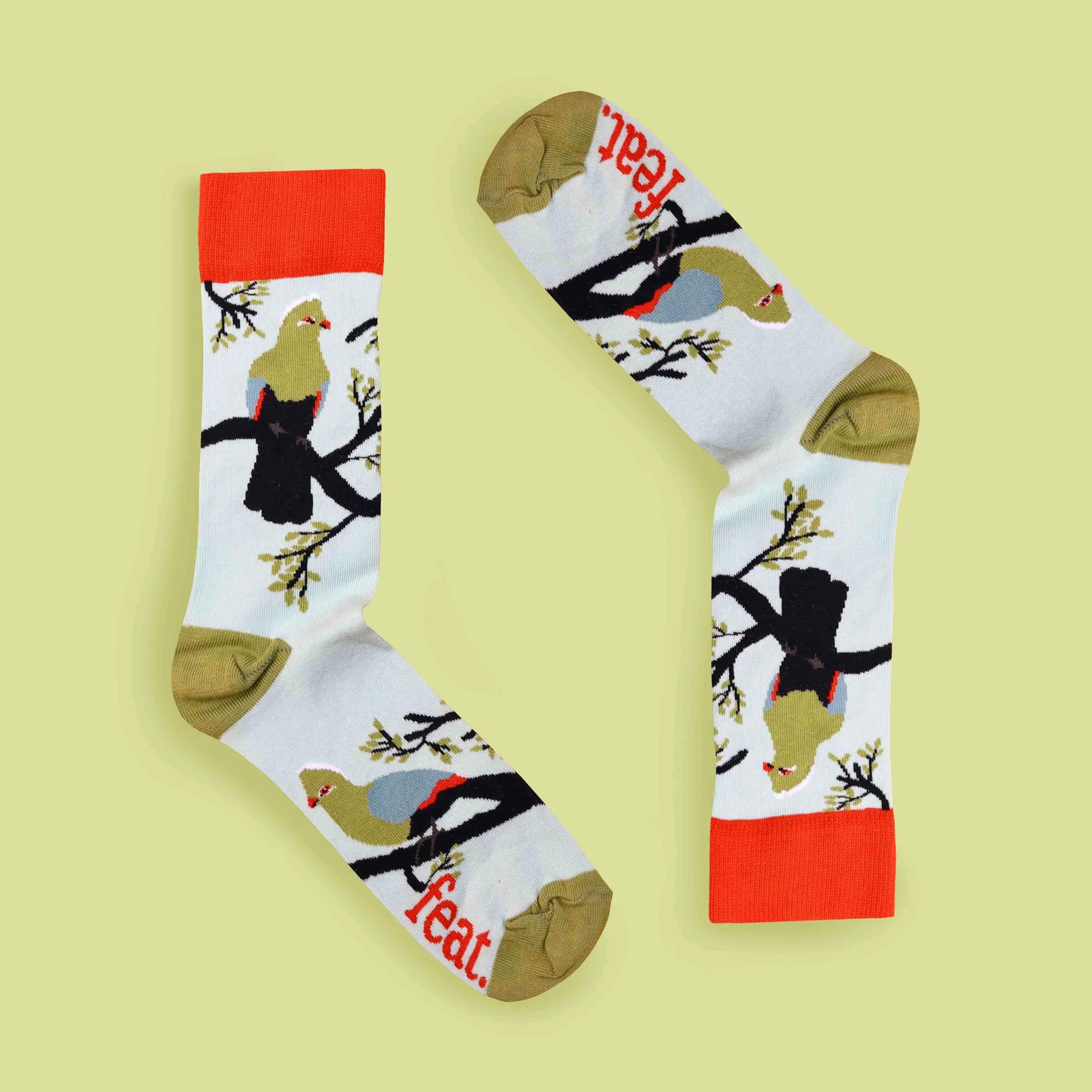 Feat Adult Sock — Knysna Loerie