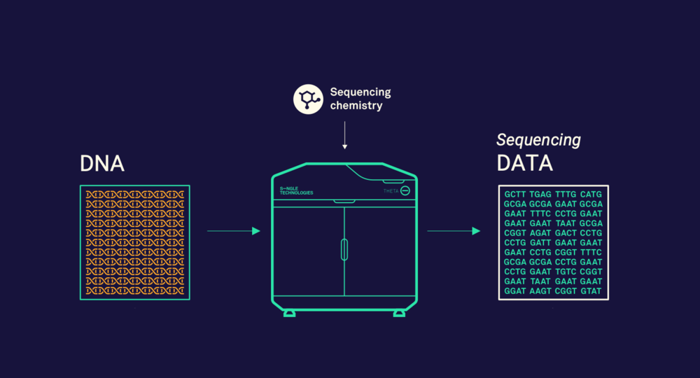 Sequencing & Genomic Data Analysis