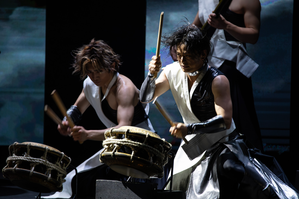 Don't miss free Taiko drummers performances