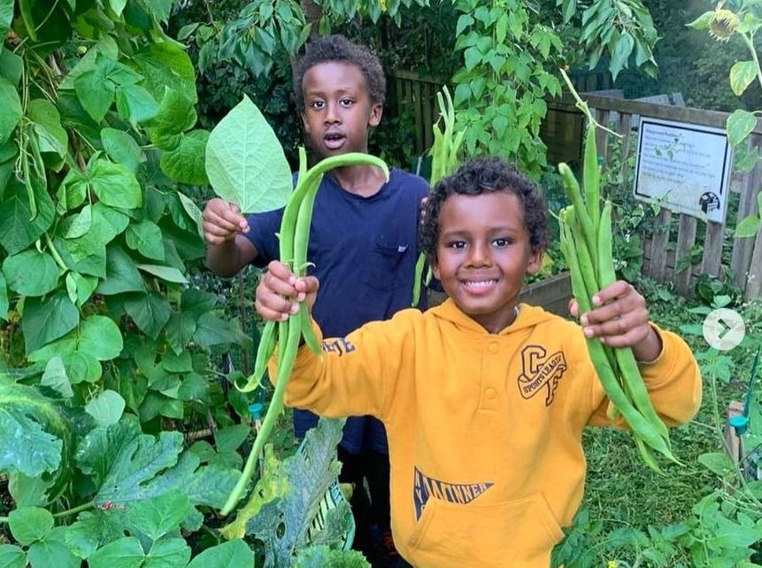 Volunteer day at Friends of Pooles Park ‘Naturehood for our Neighbourhood’ Project