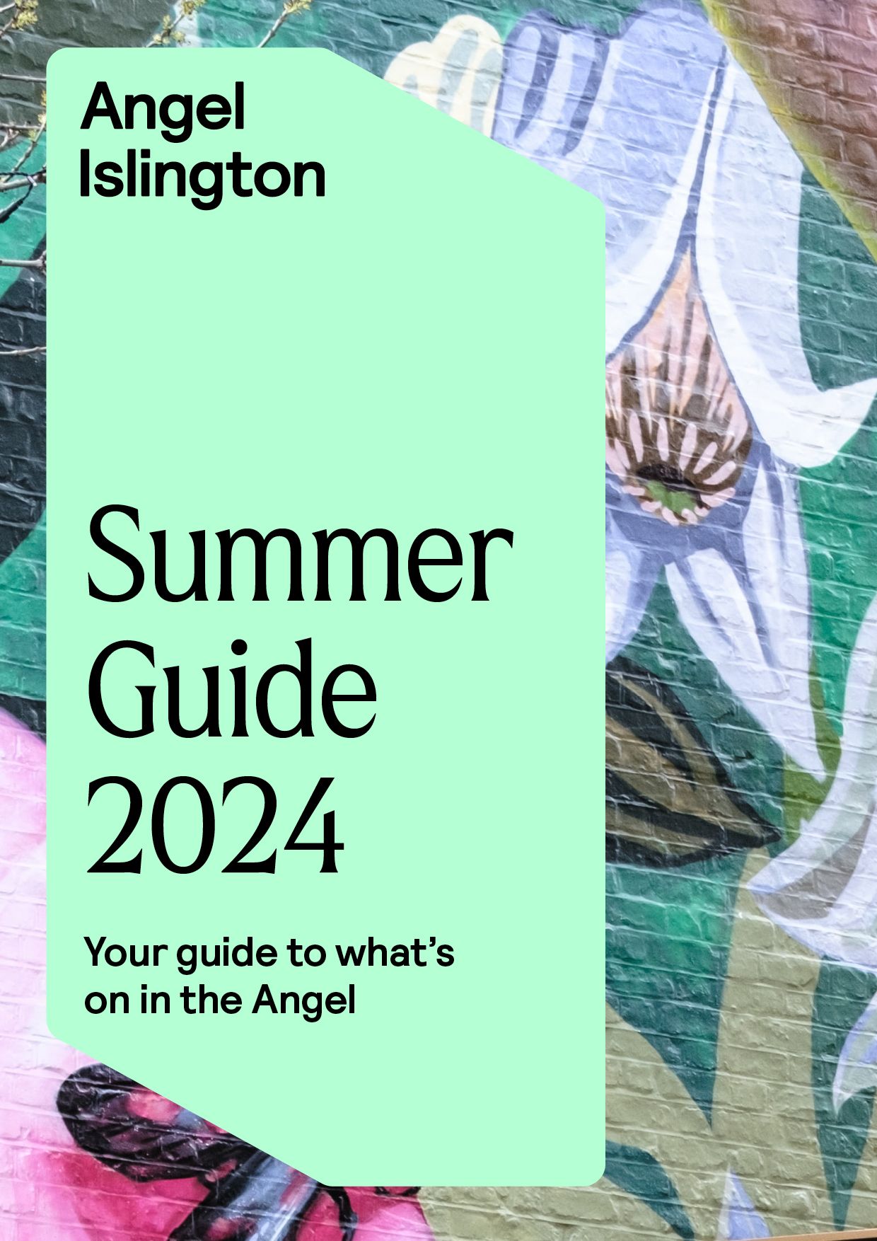 Angel Summer Guide 2024