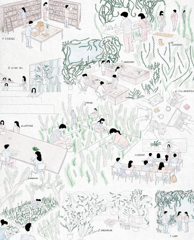 Stitching the Farm