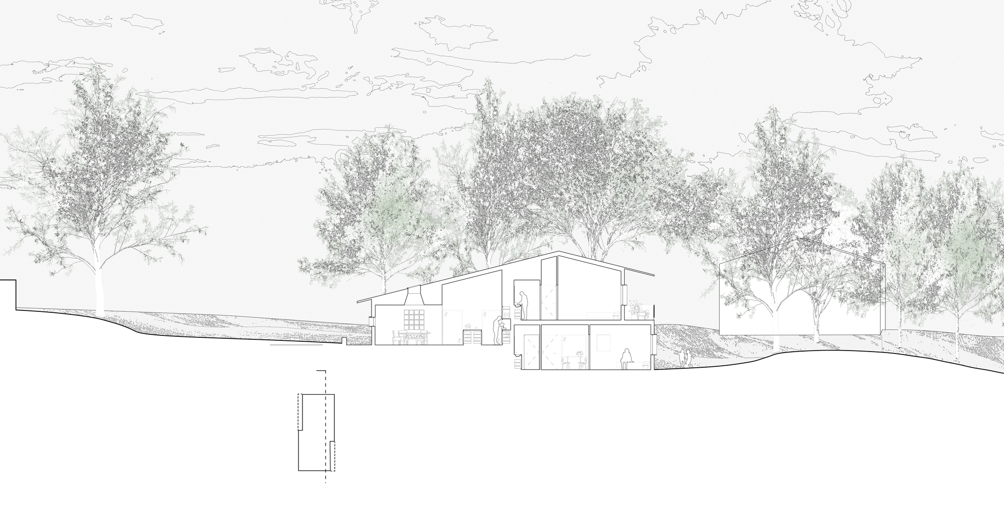 Longitudinal site section