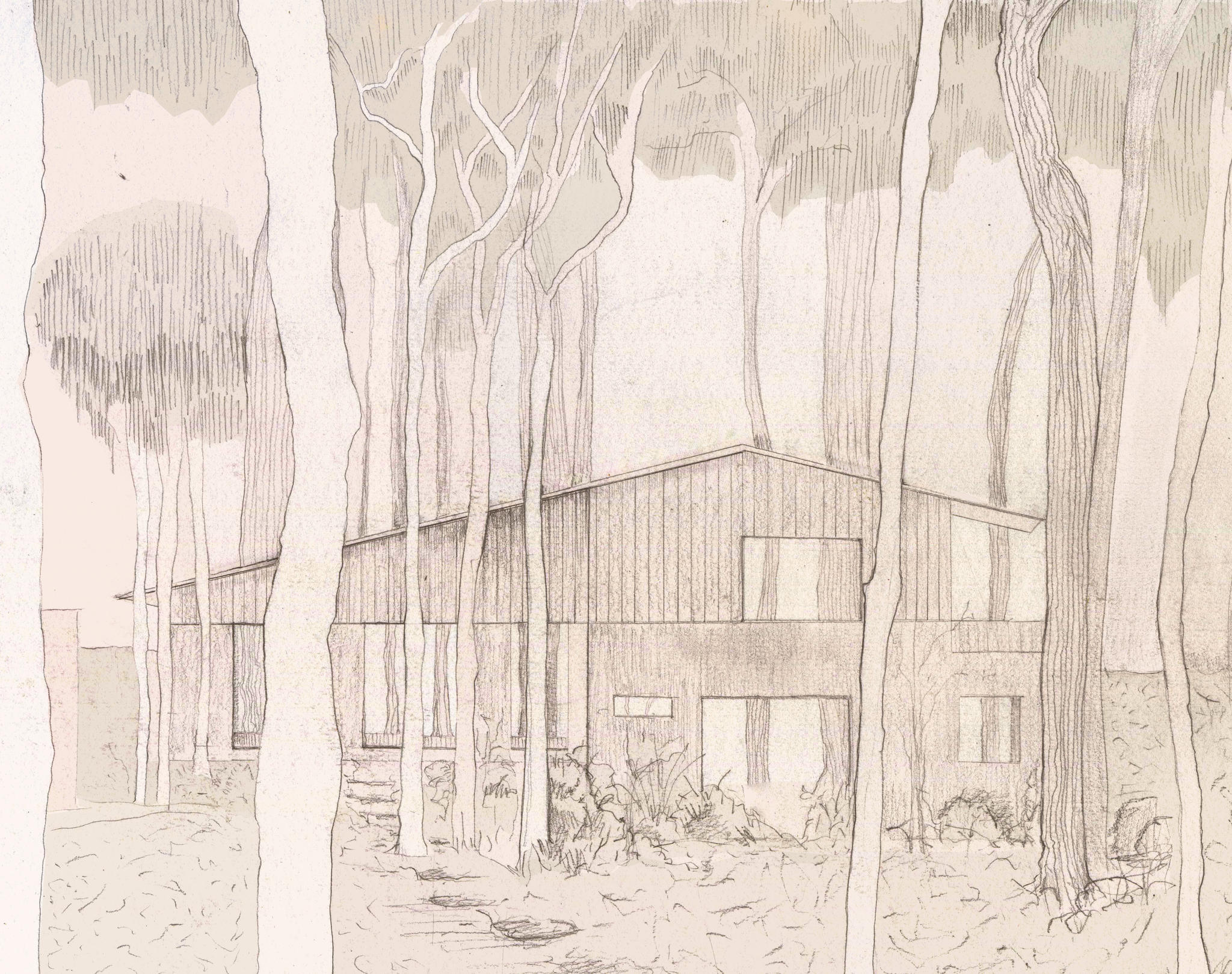 Drawing by Thalia Fourli