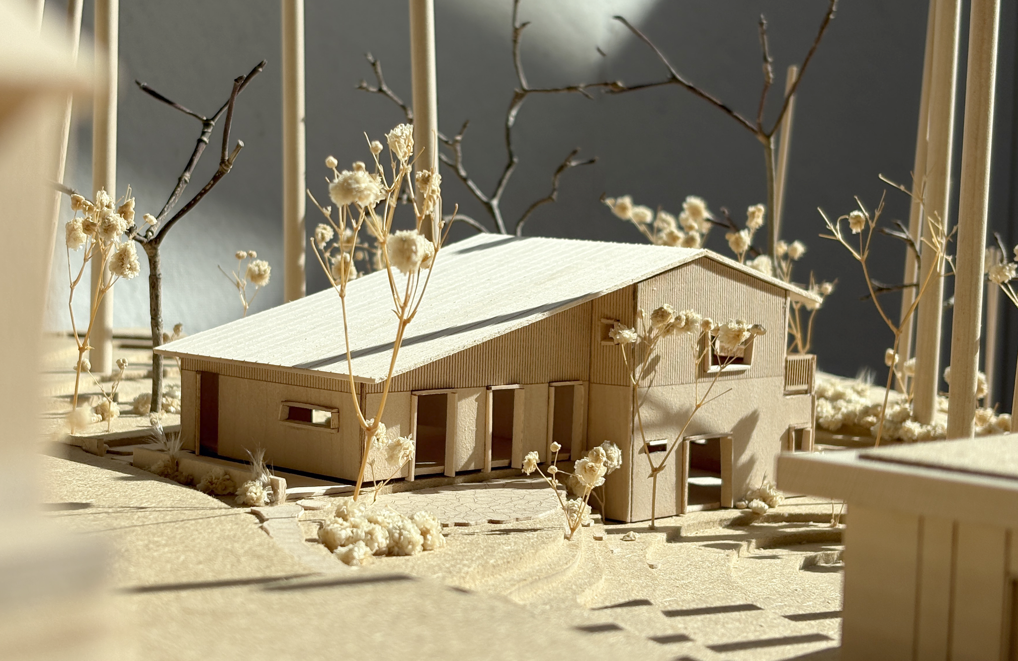 Jim Vlock Building Project