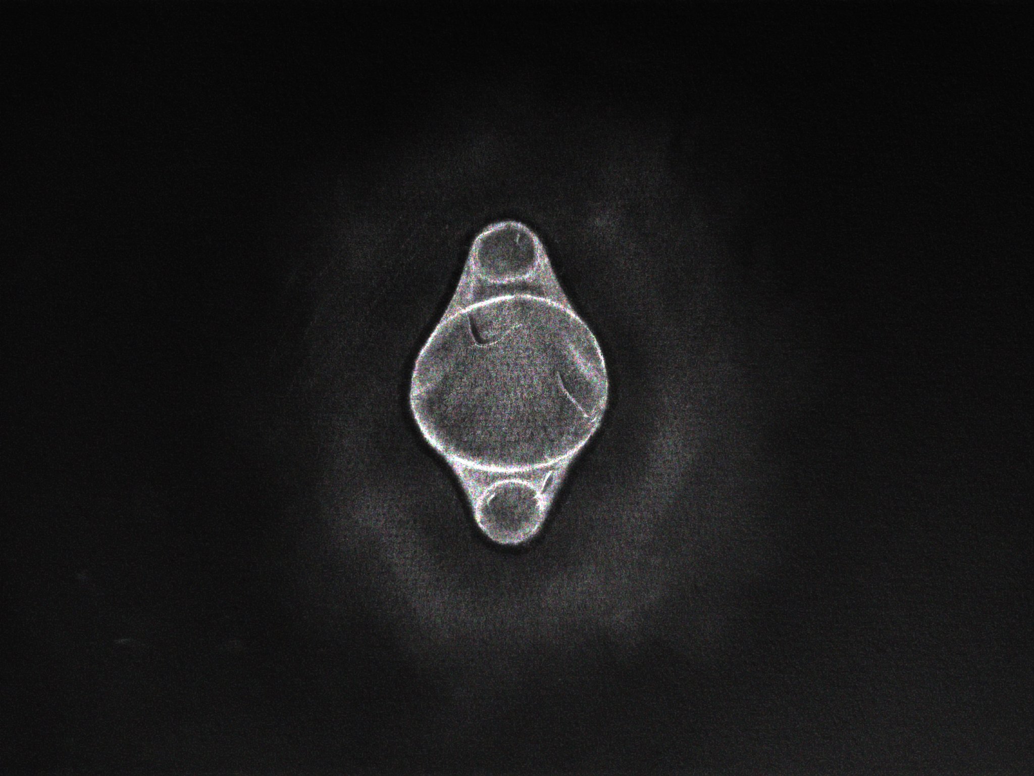 Charcoal drawing observation