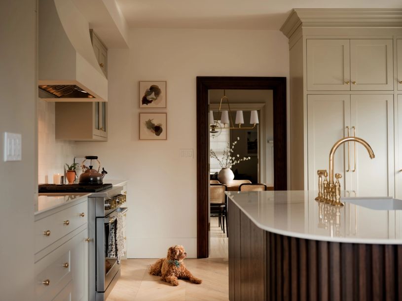 Project from the Morgan Kelly Interiors portfolio