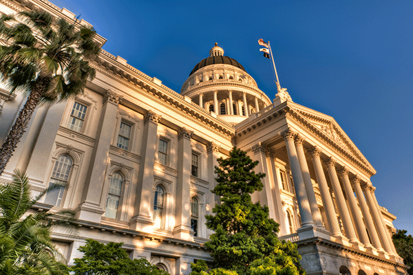 Low-angle view of the California State Capitol with a palm tree and blue sky.