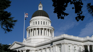 The California State Capitol dome framed by dark tree branches.