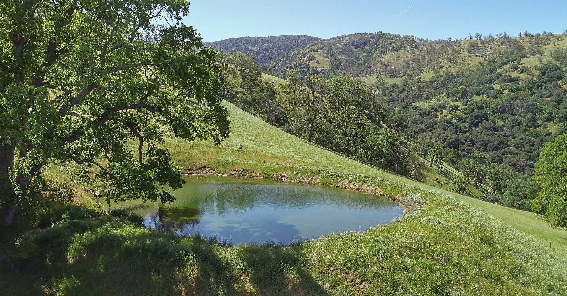 Tejon Ranch