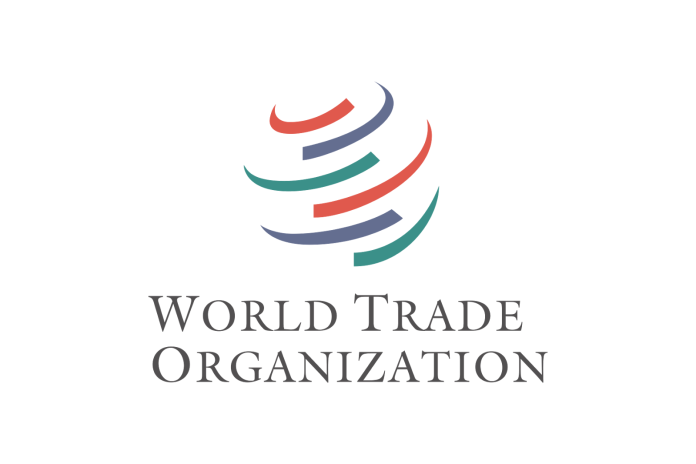 World Trade Organization logo with curved red, blue and green stripes above its name.