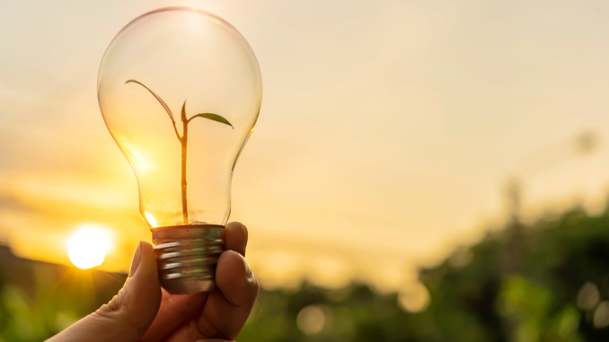 A hand holds a lightbulb containing a green seedling against a sunset.