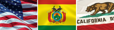 US-Bolivia-California Flags