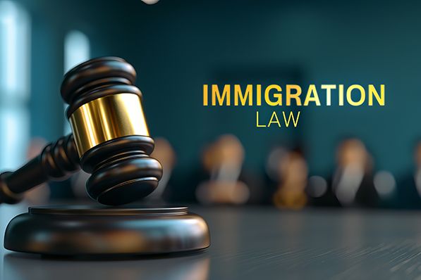 A wooden gavel and sound block beside the words IMMIGRATION LAW against a blurred background.