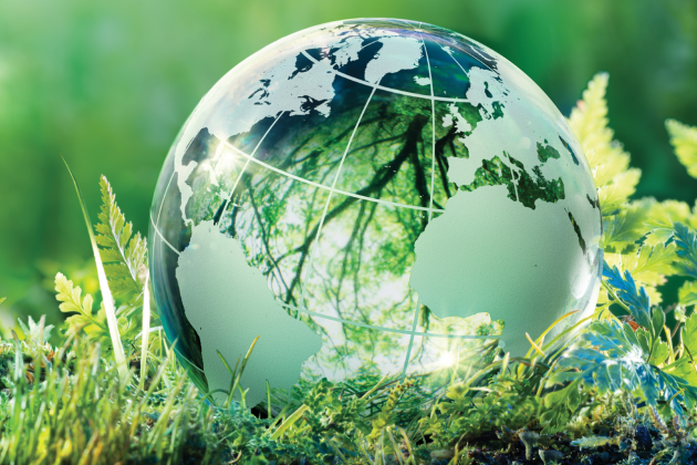 A glass globe rests among moss and plants, reflecting leafy trees.