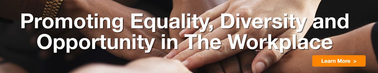 Promoting Diversity